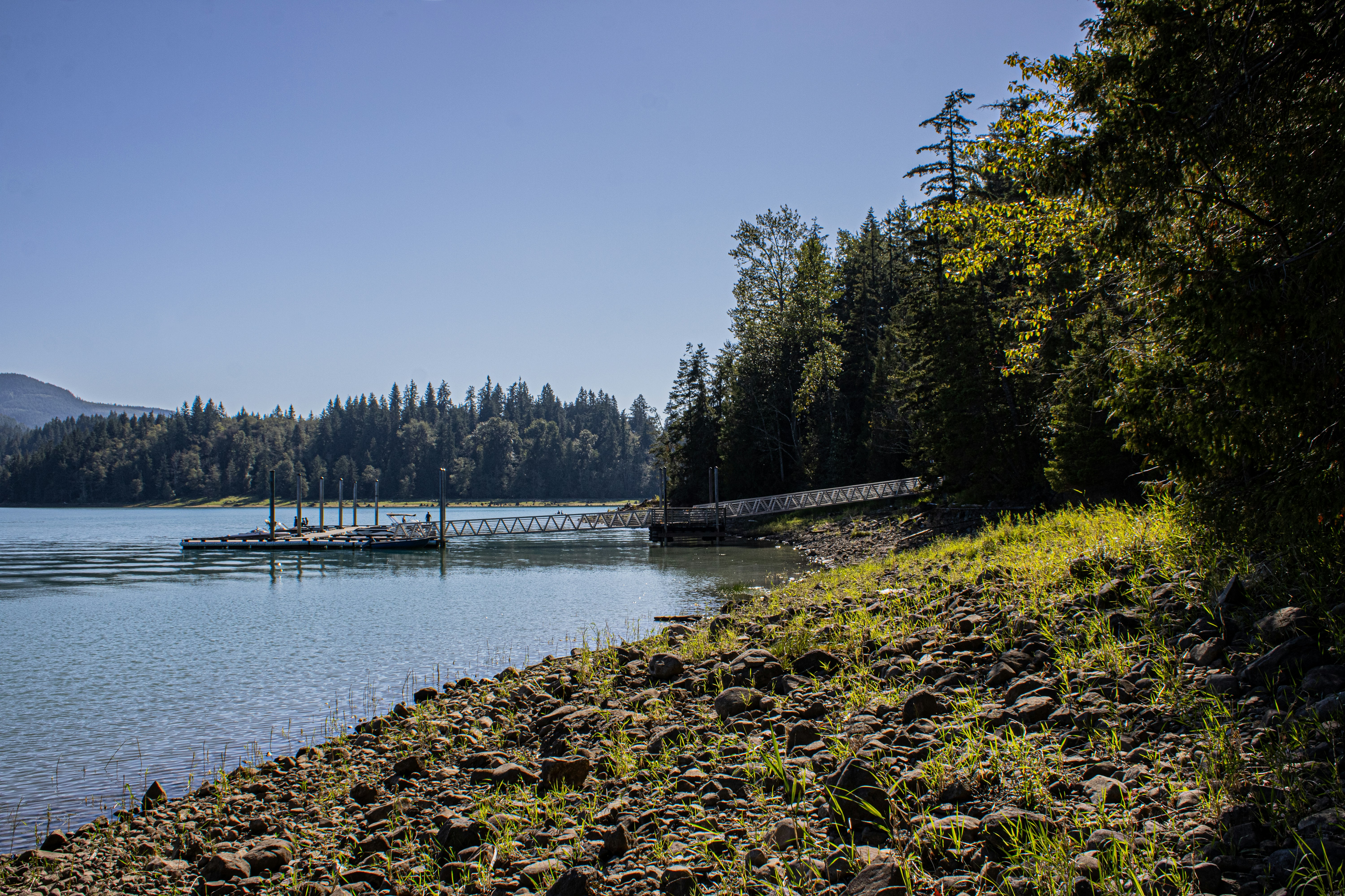 Photo by prphotography262