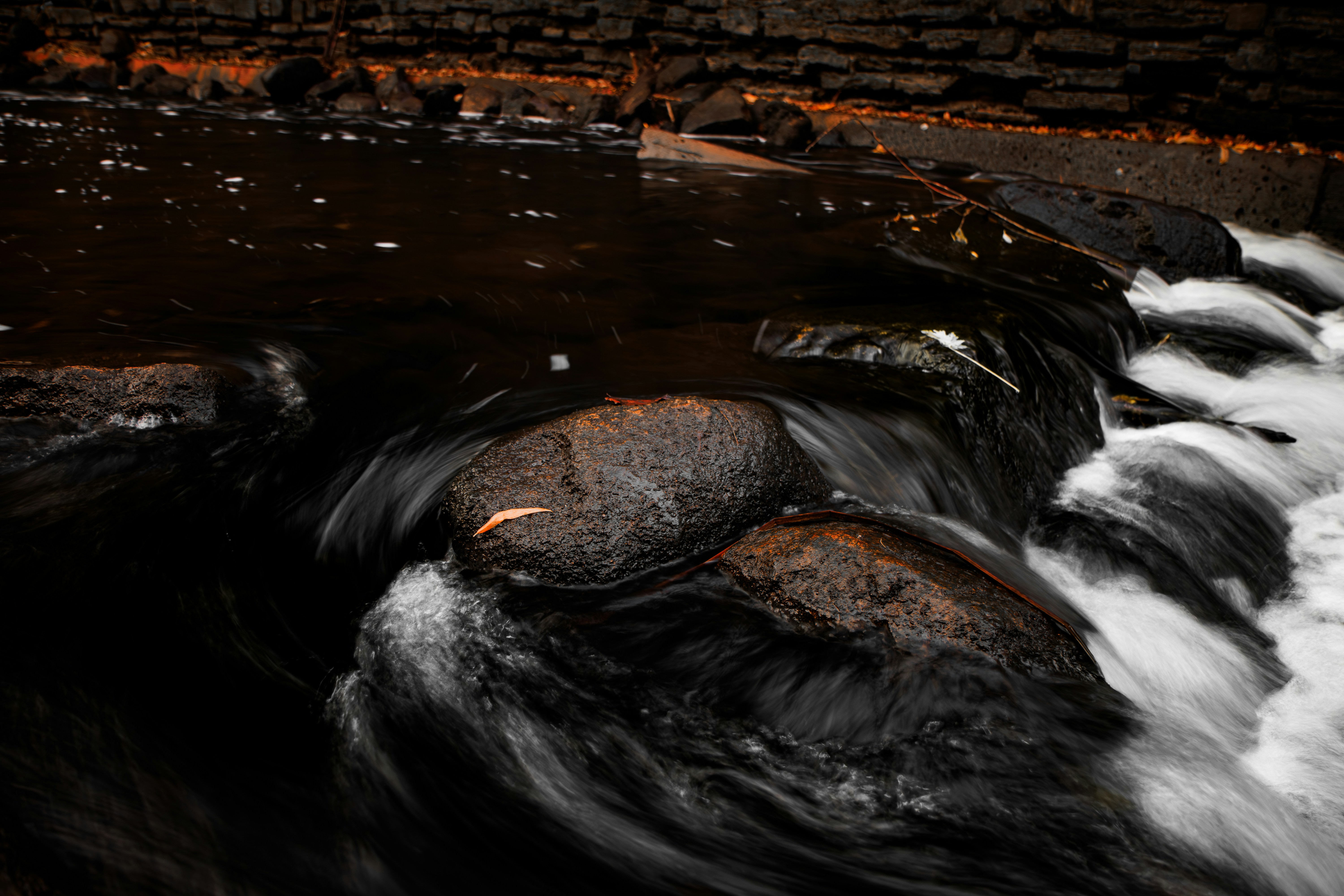 Photo by brice_cooper18