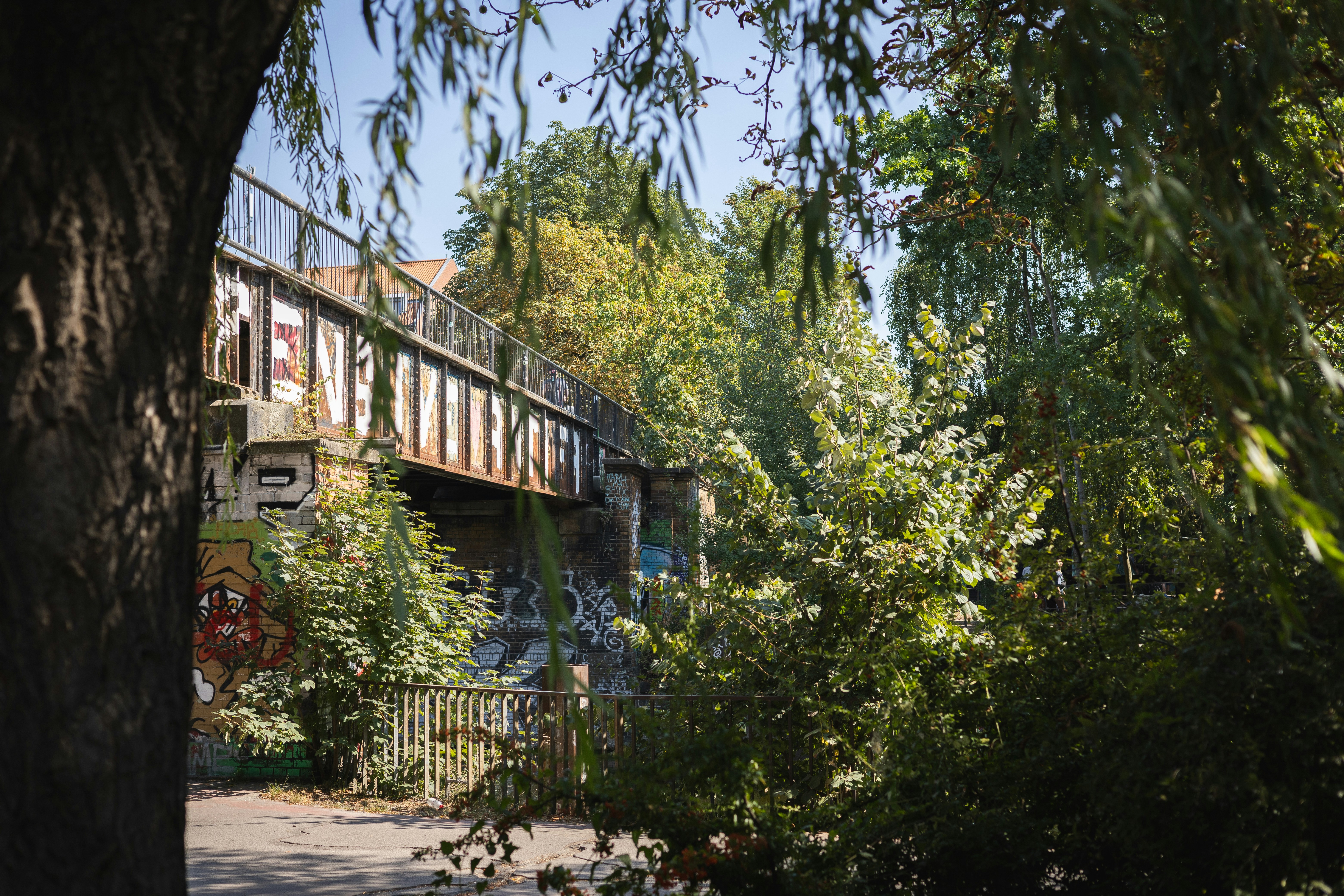 Photo by andreas_haslinger