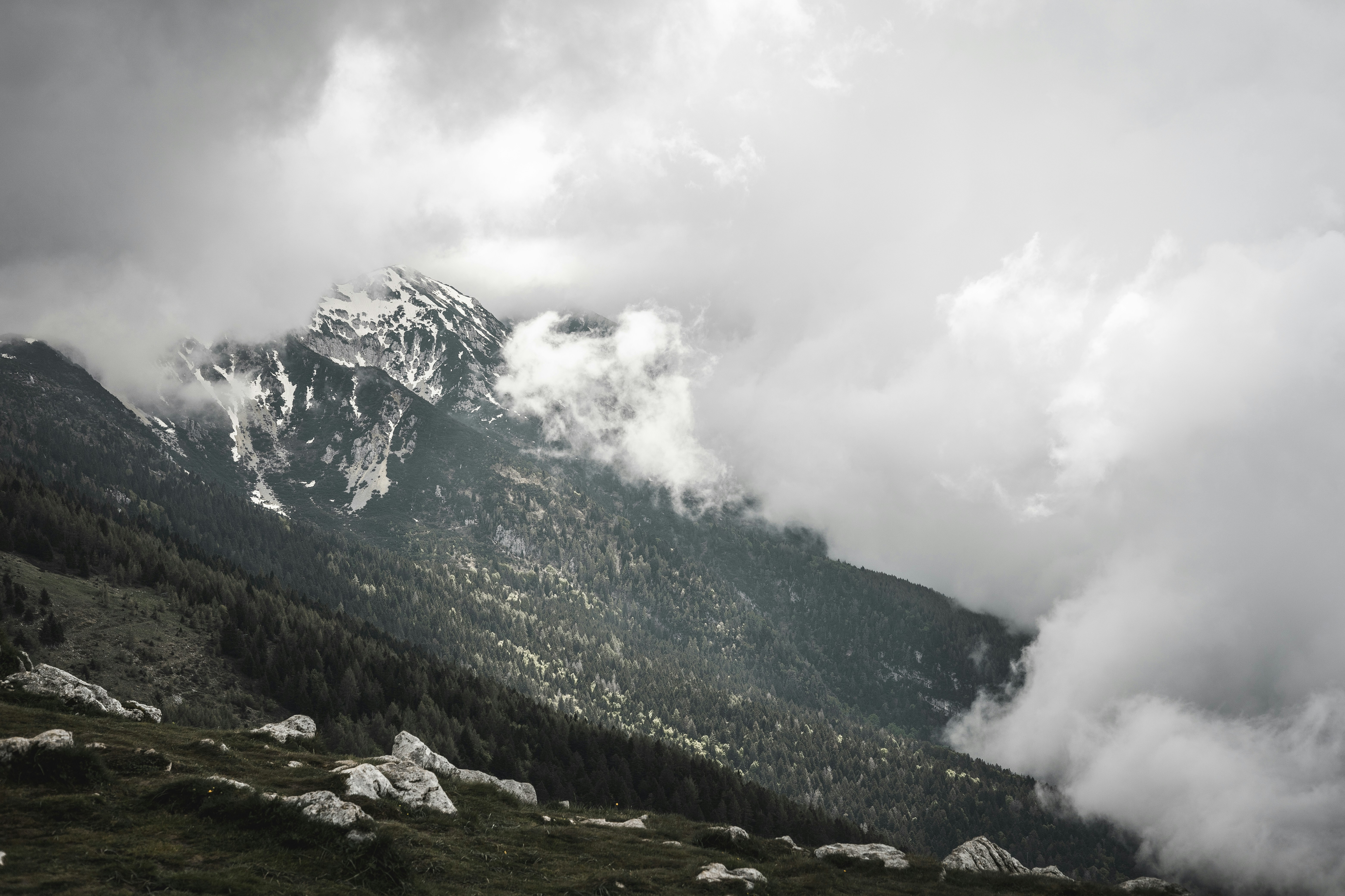 Photo by andreas_haslinger