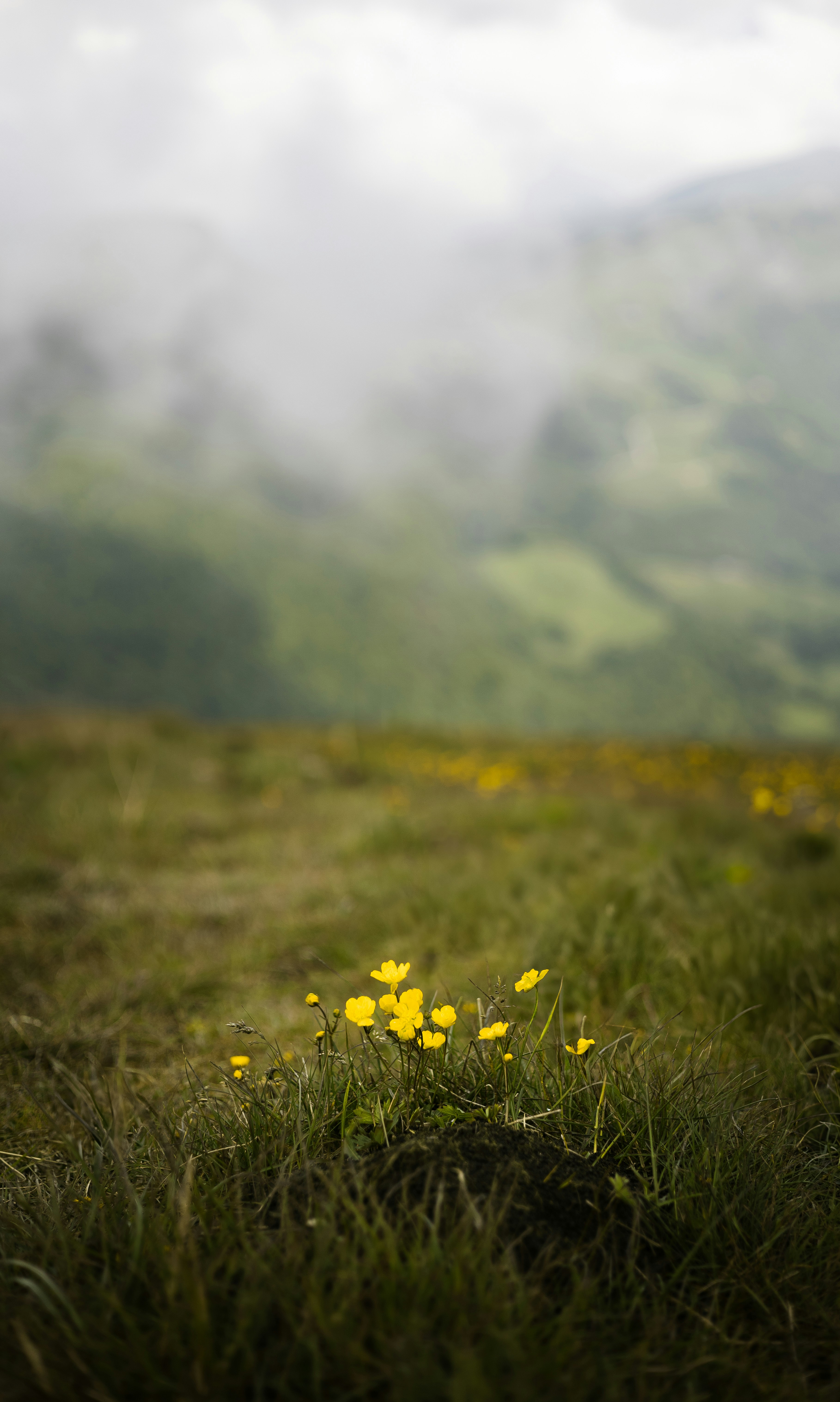 Photo by andreas_haslinger