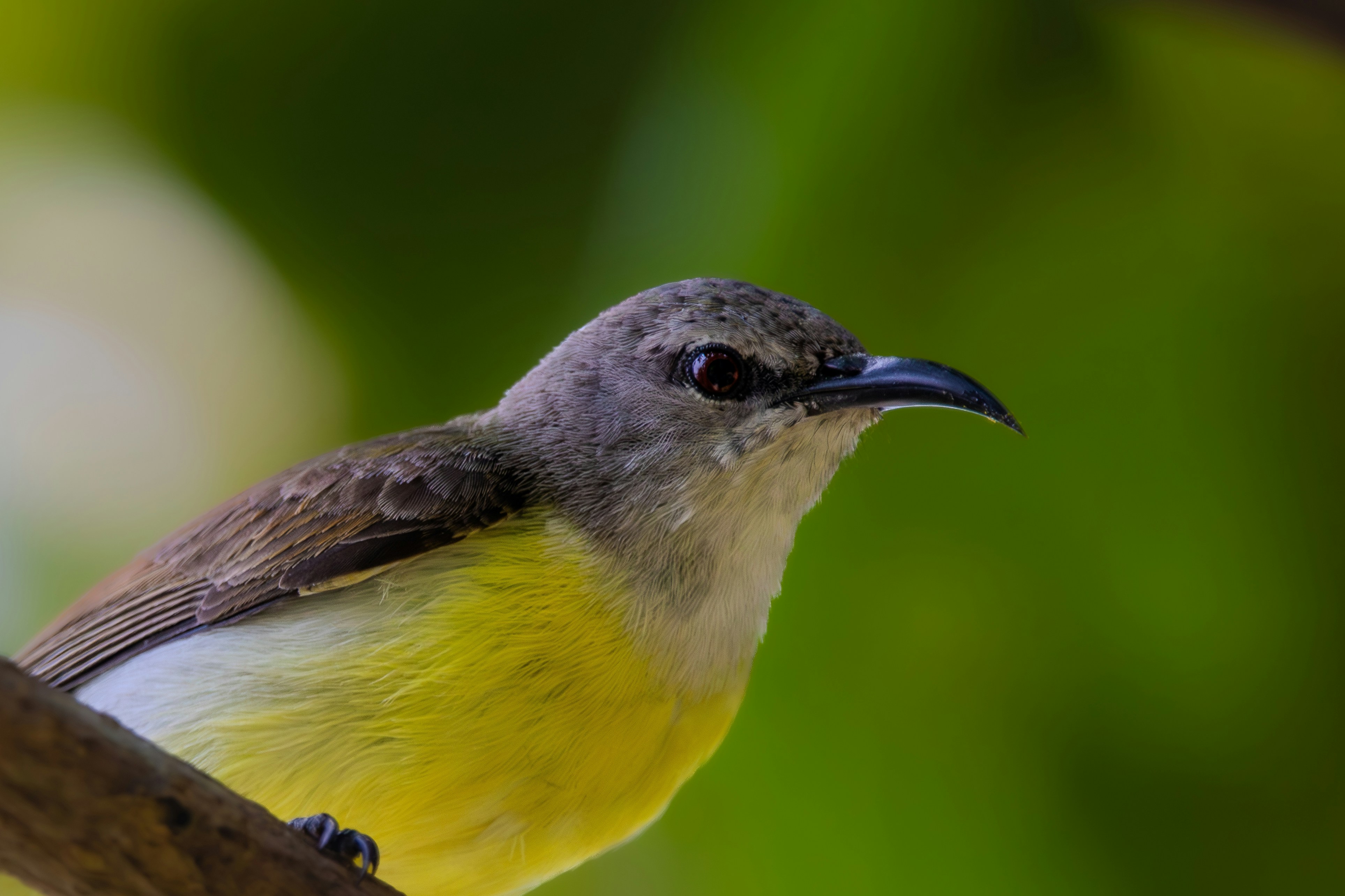 Photo by saiteja_varma