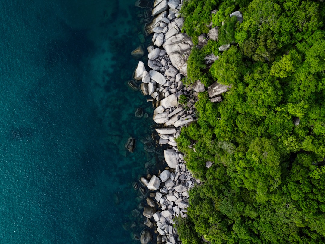 An aerial view of a body of water surrounded by trees,