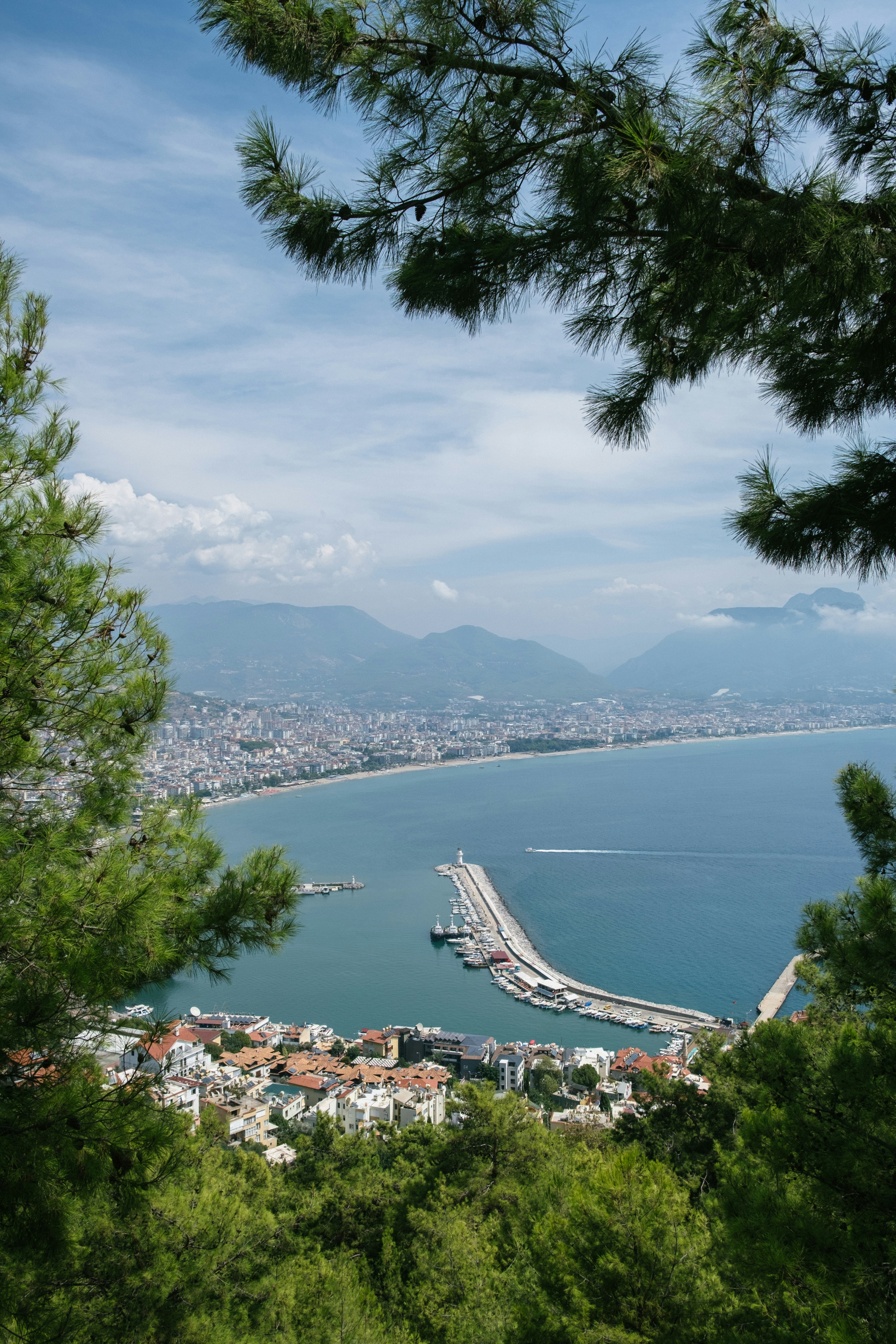 Photo by alex_akimenko