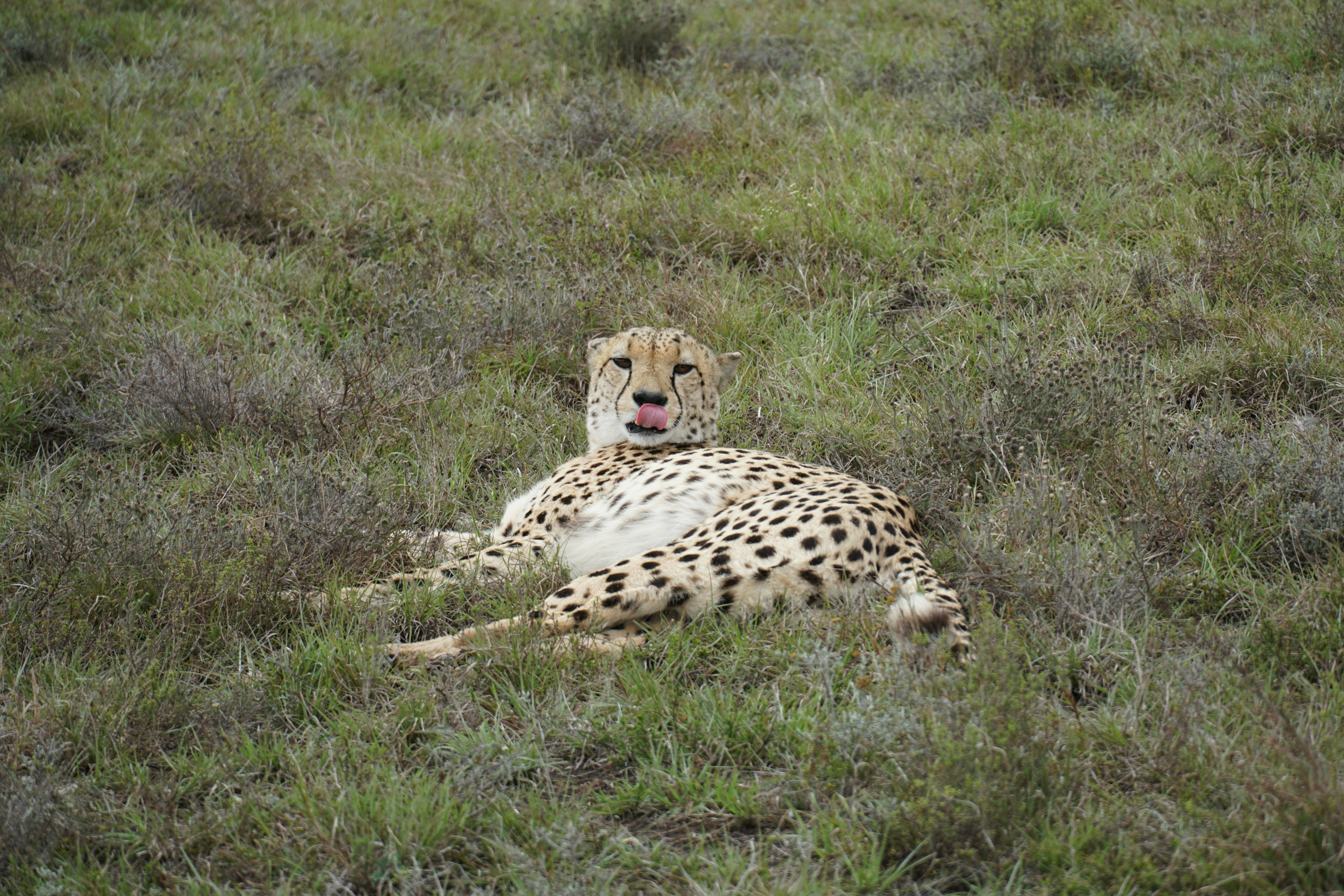 Photo by qld_traveller