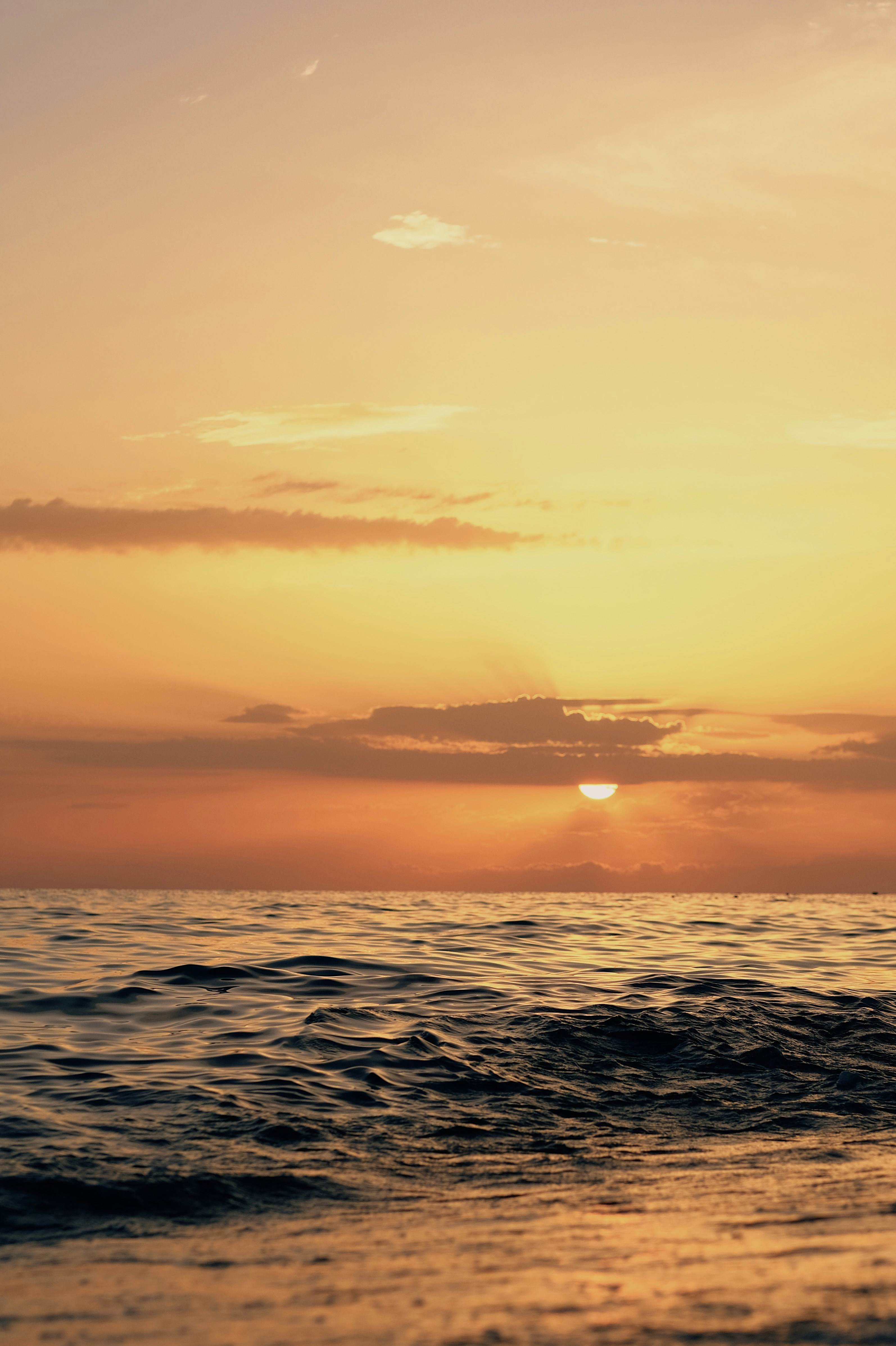 Photo by alex_akimenko