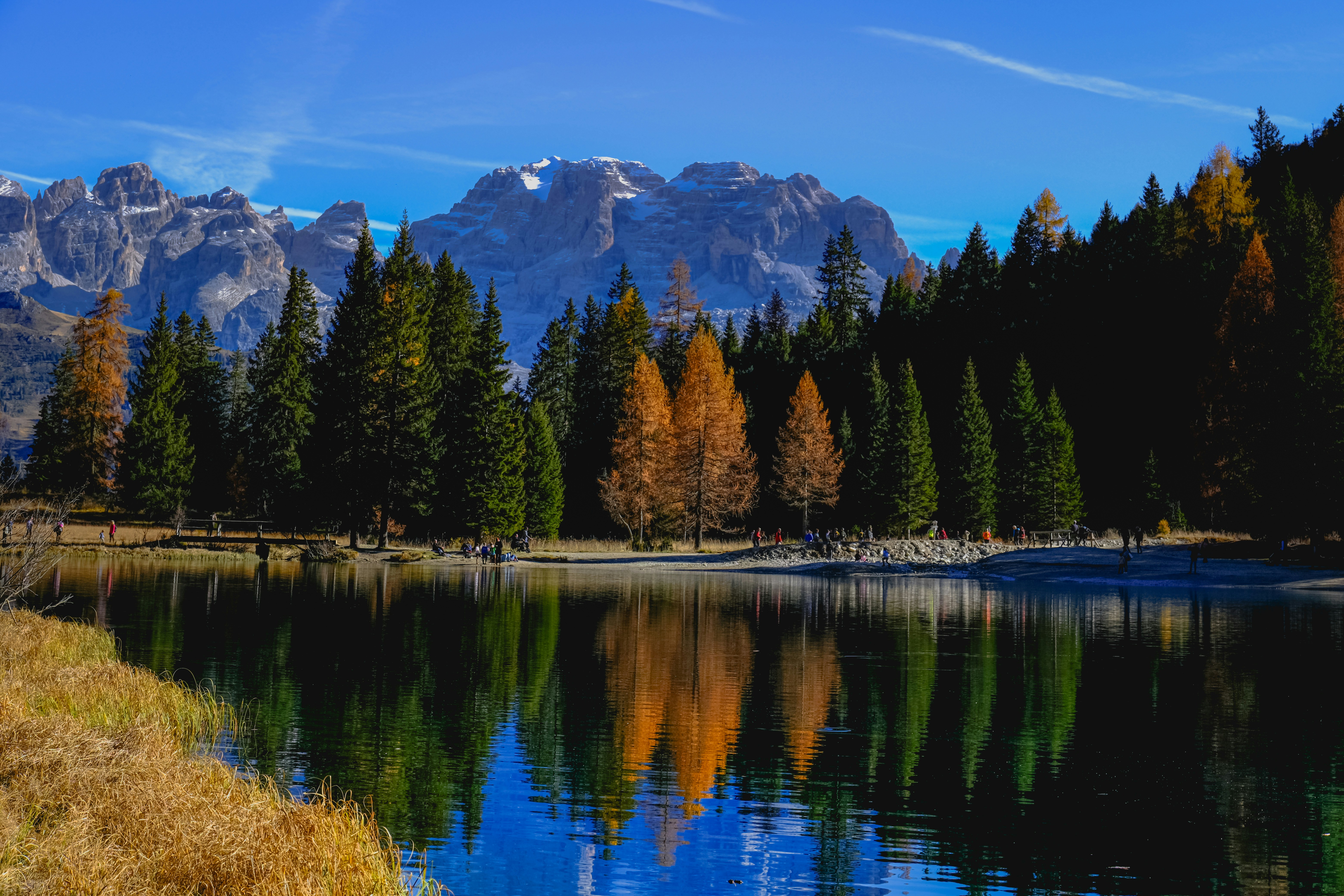 Photo by denisaficau