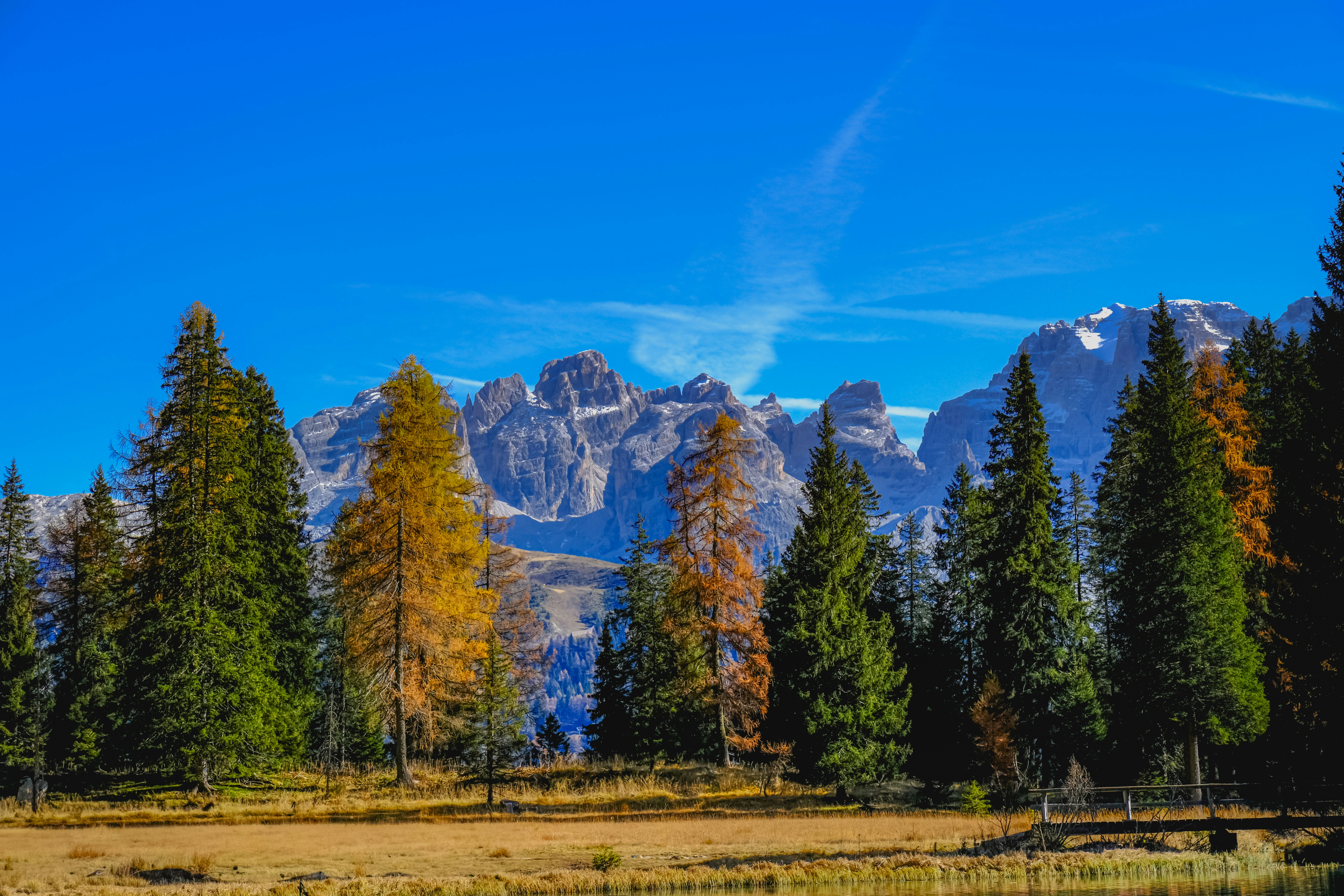 Photo by denisaficau