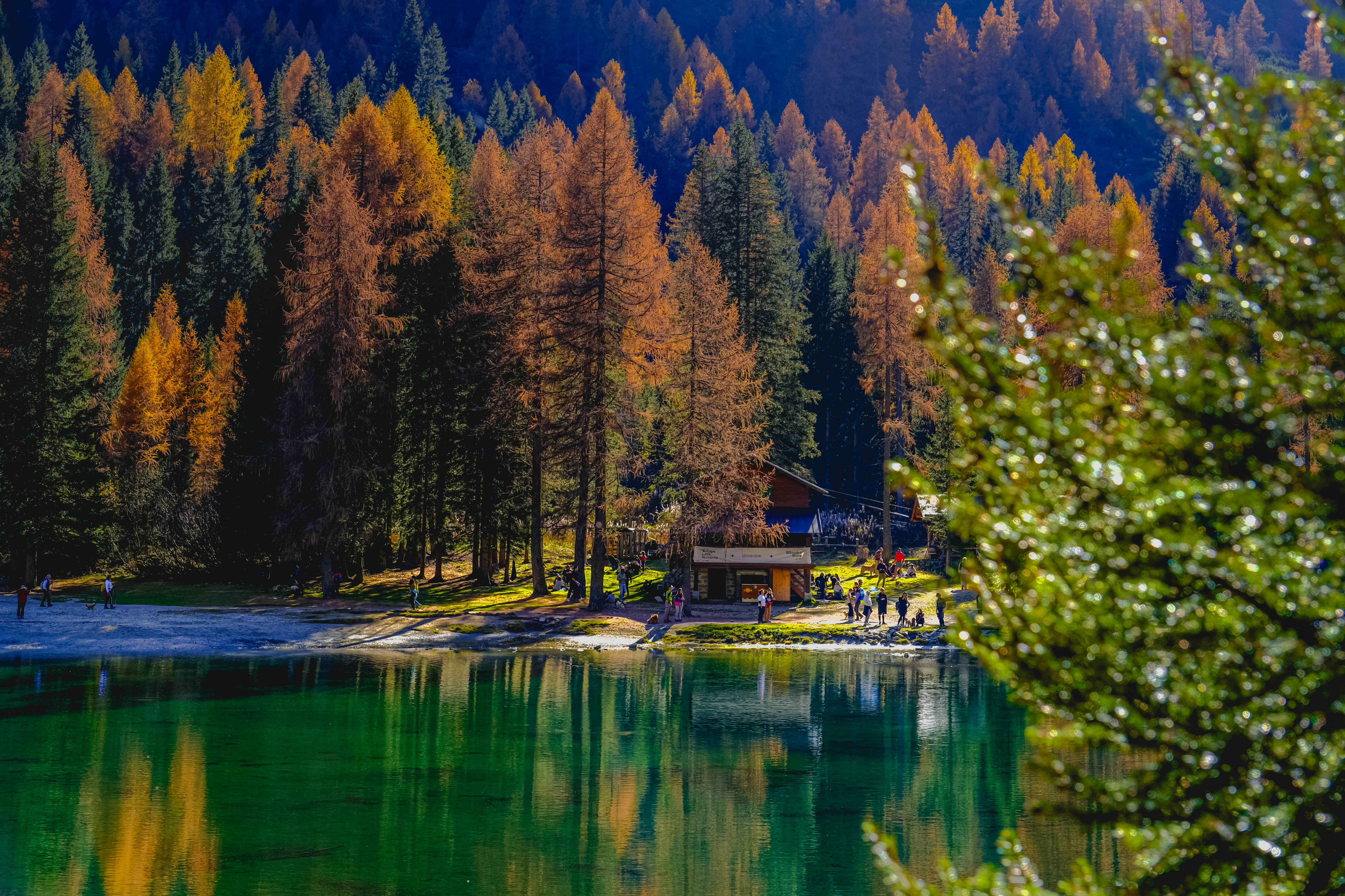 Photo by denisaficau