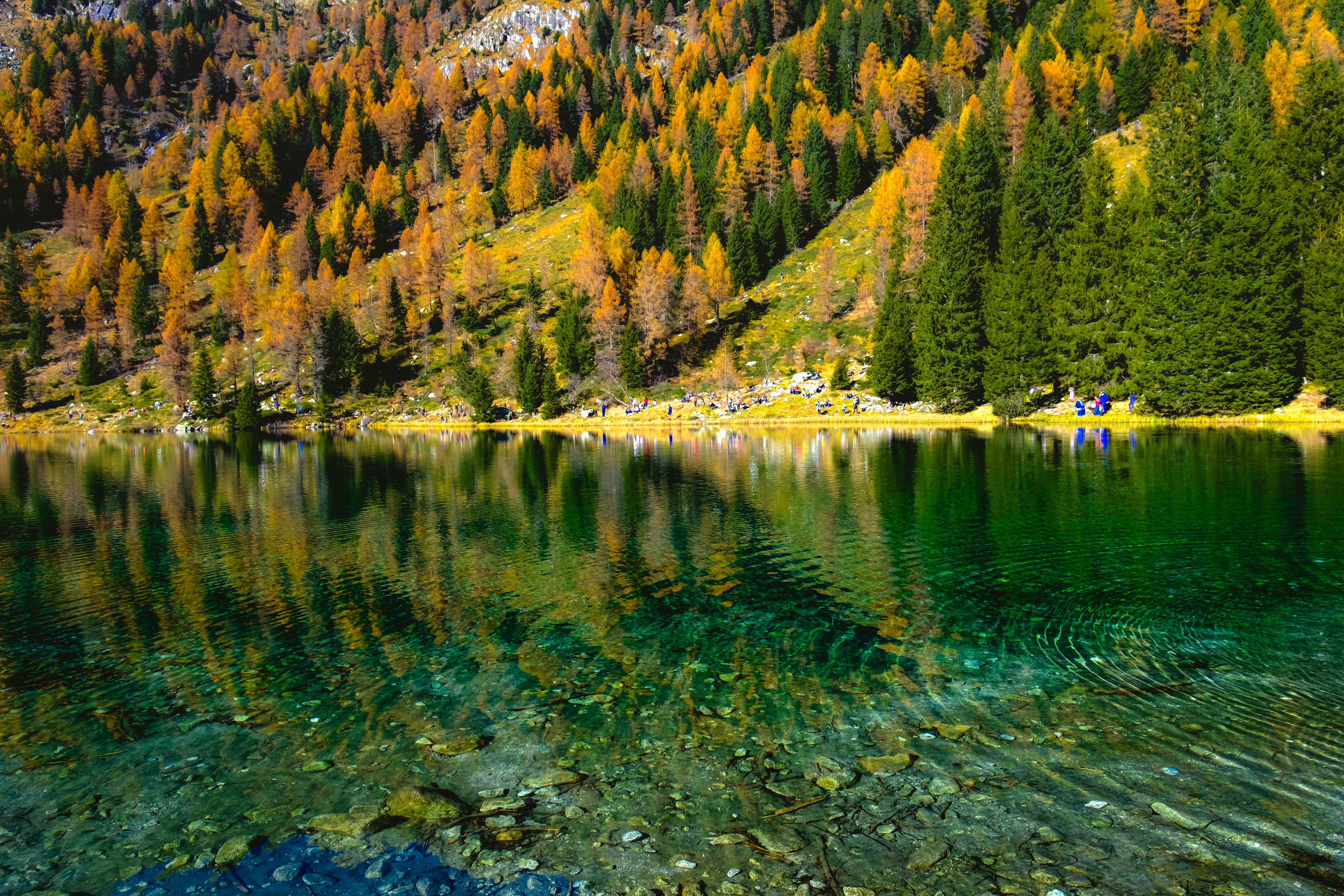 Photo by denisaficau