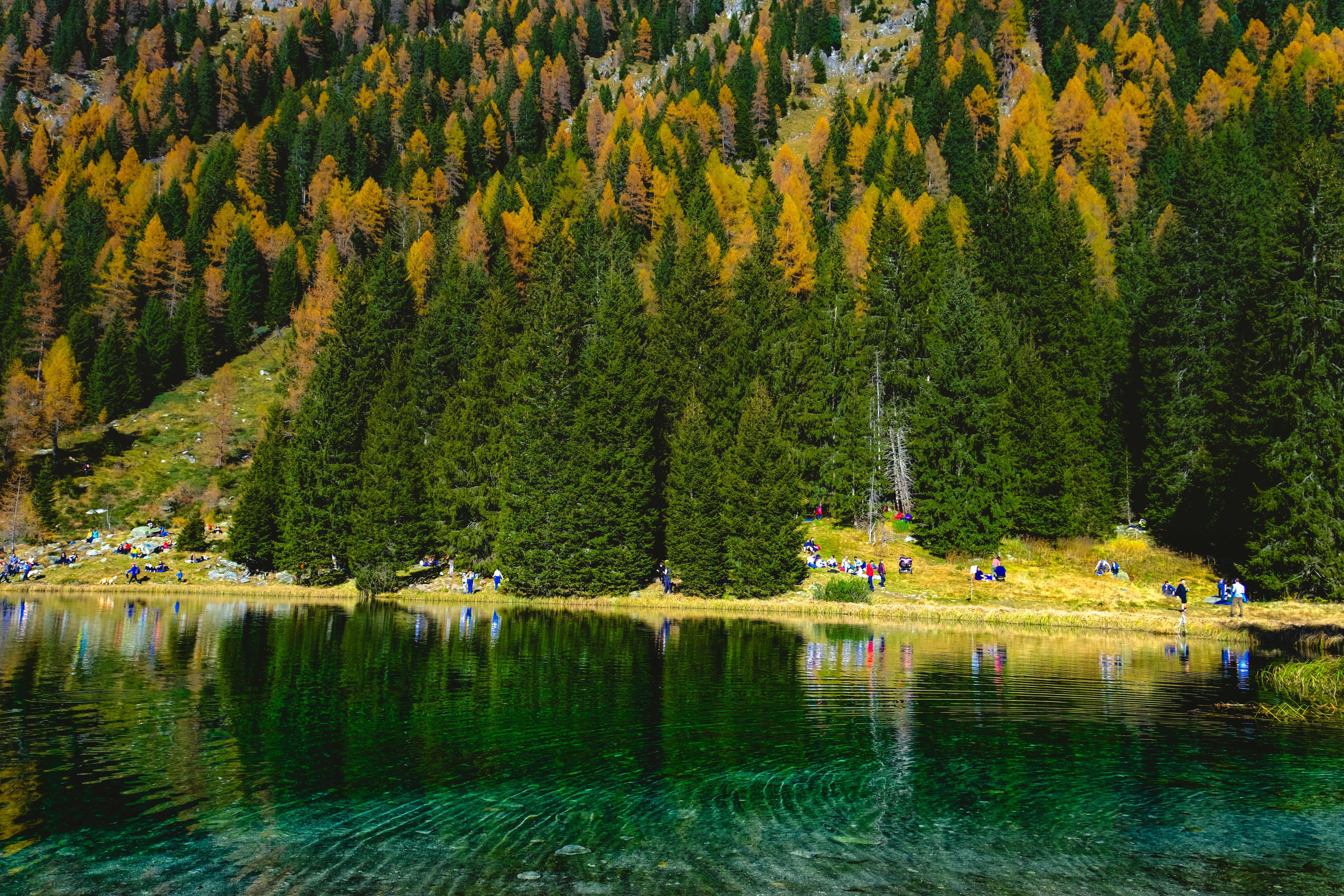 Photo by denisaficau