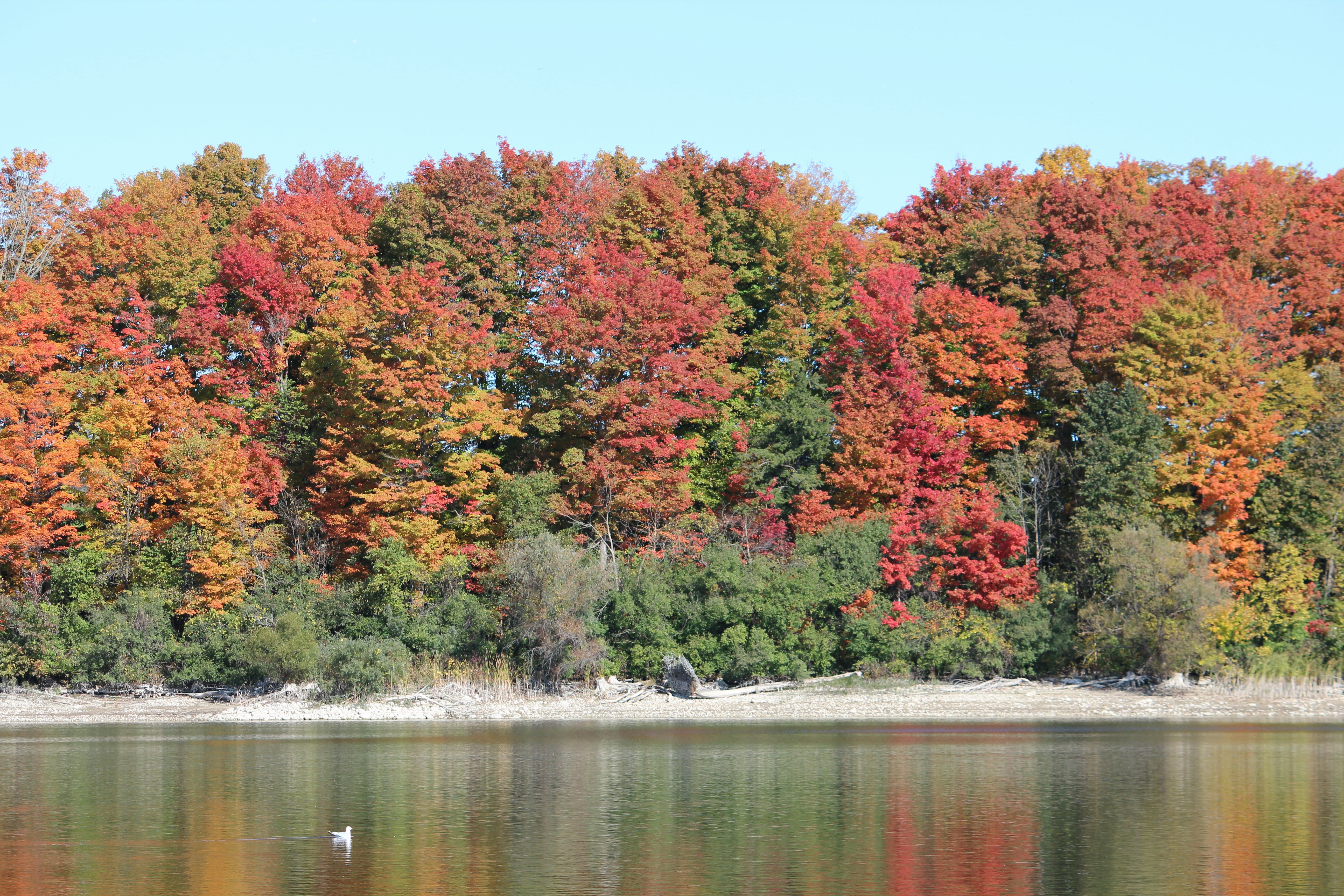 RV Park Near Hamilton Ontario