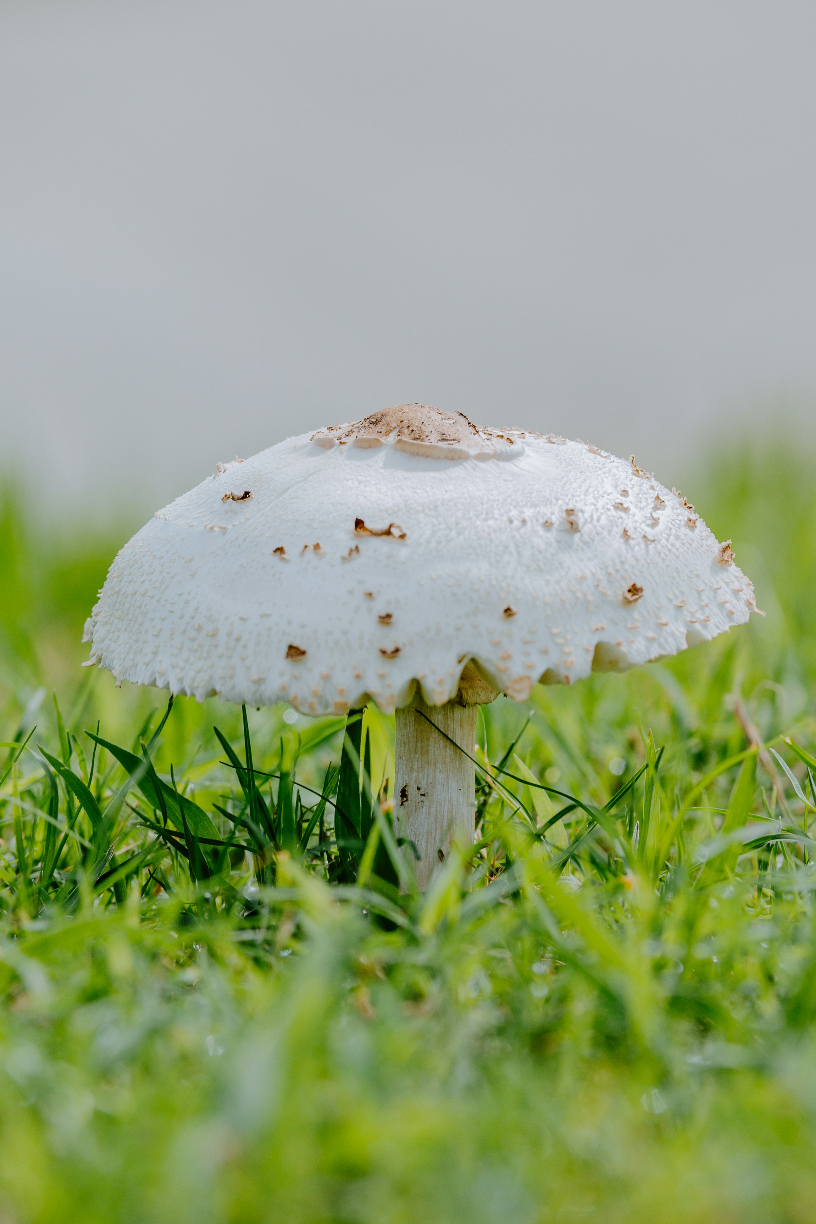 Photo by joseph_royer