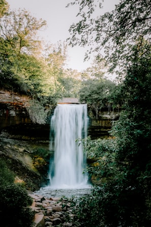 A waterfall in the middle of a forest