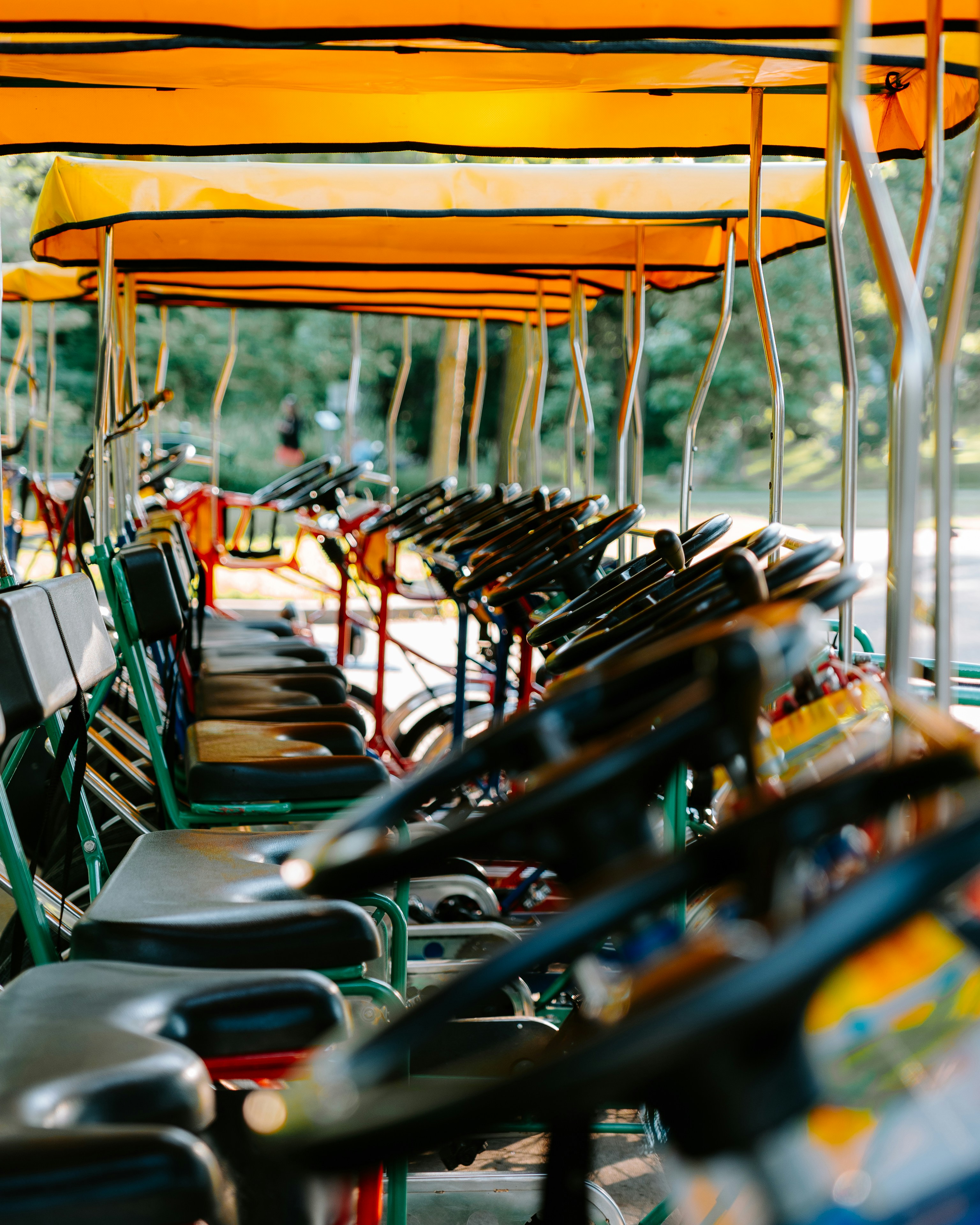 Photo by srakotoarivelo7