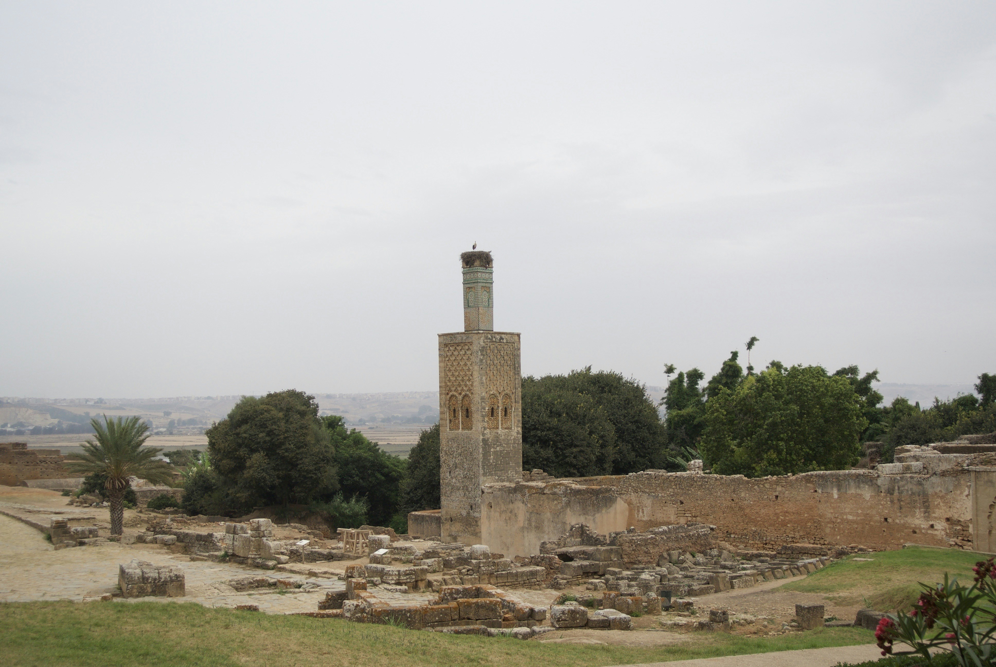 The ruins of the ancient city of palmyran