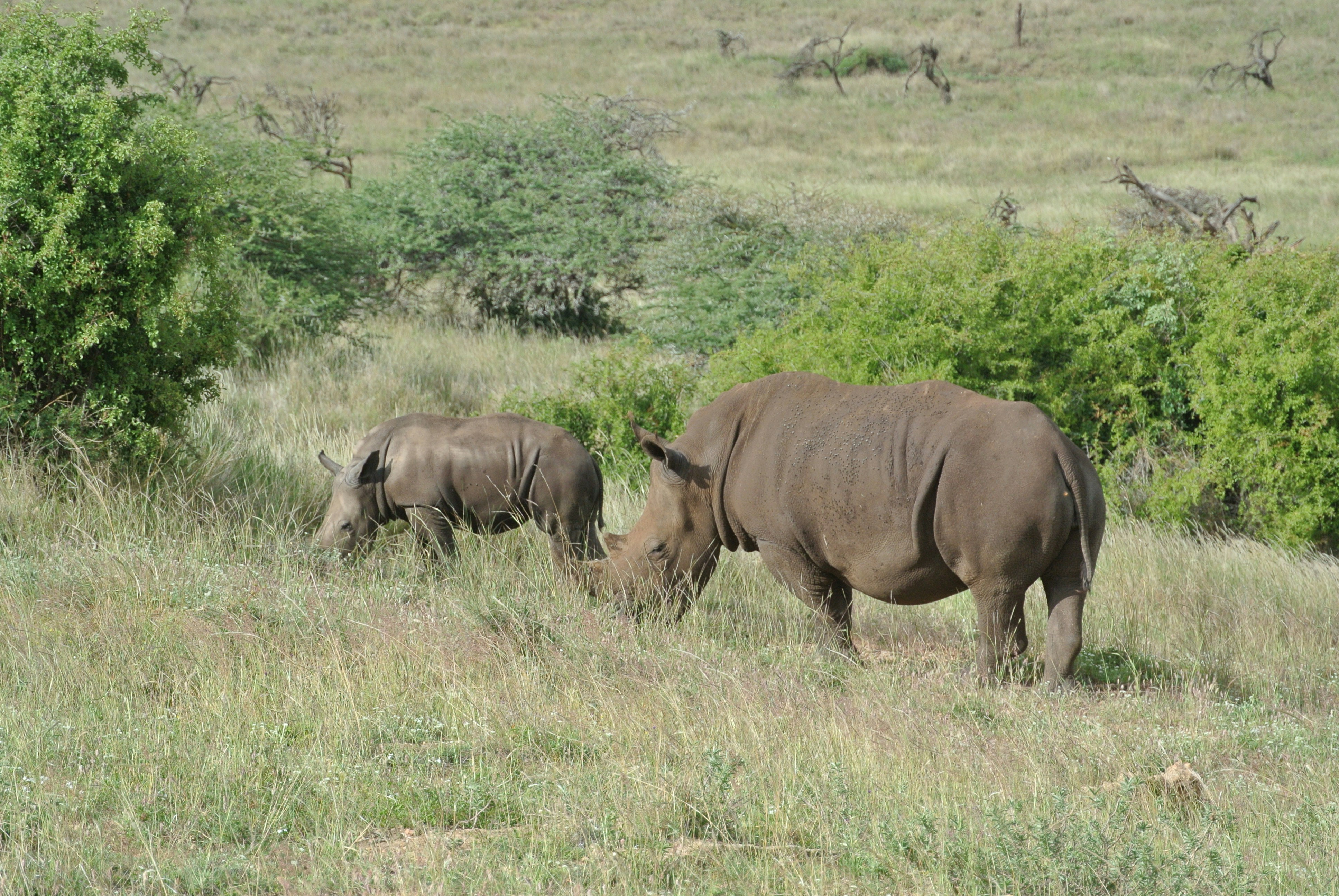 Photo by womentravelabroad