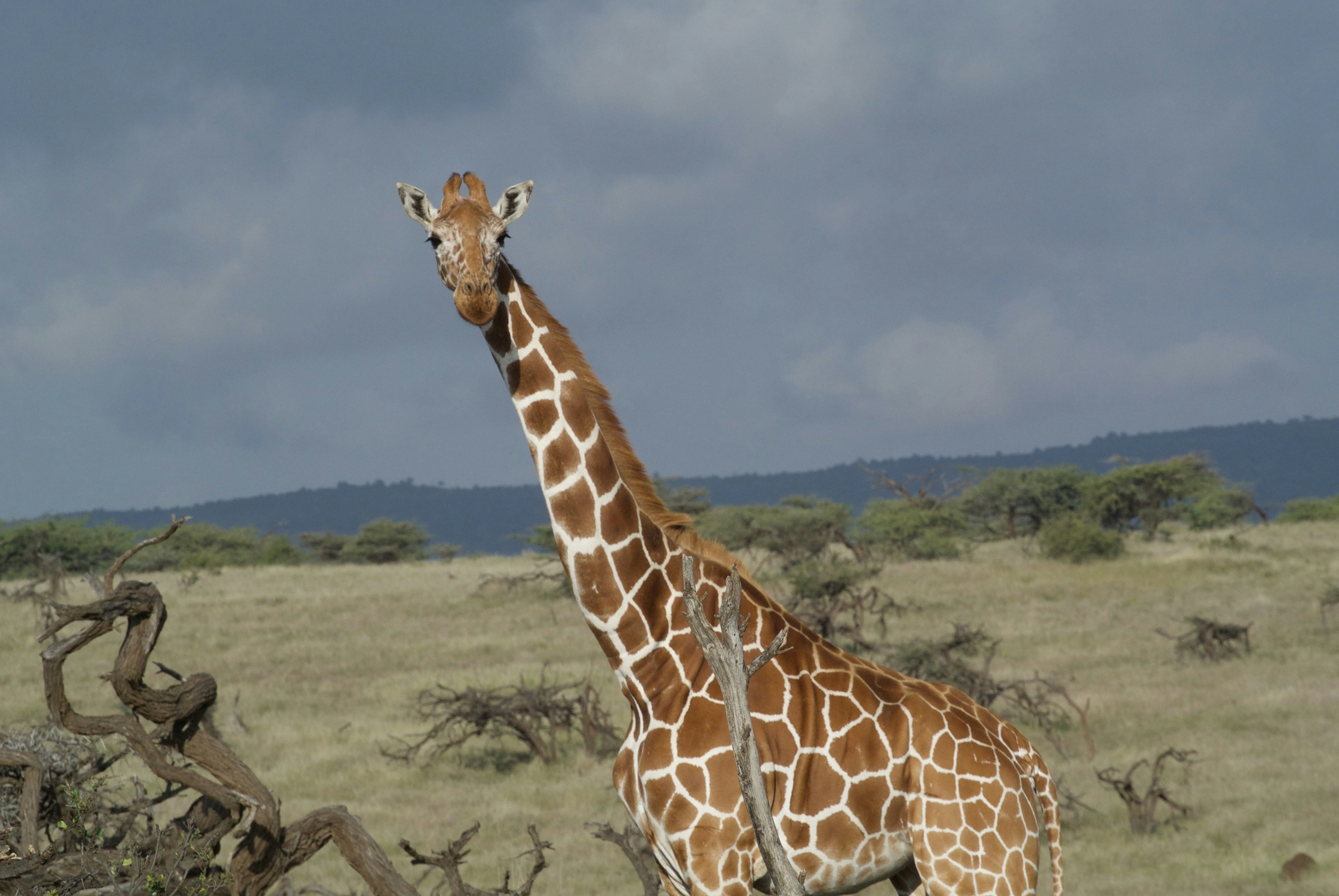 Photo by womentravelabroad