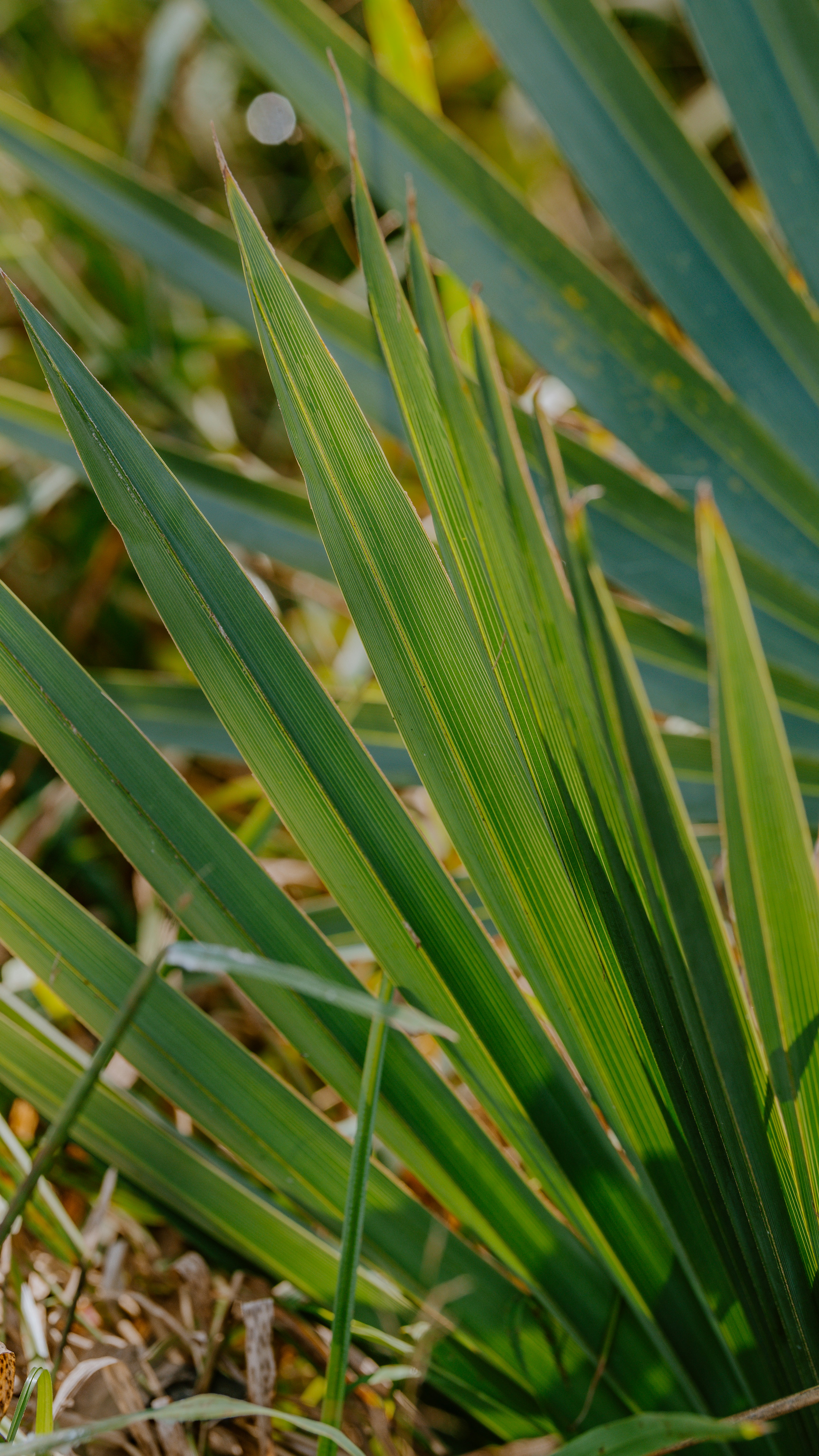 Photo by joseph_royer