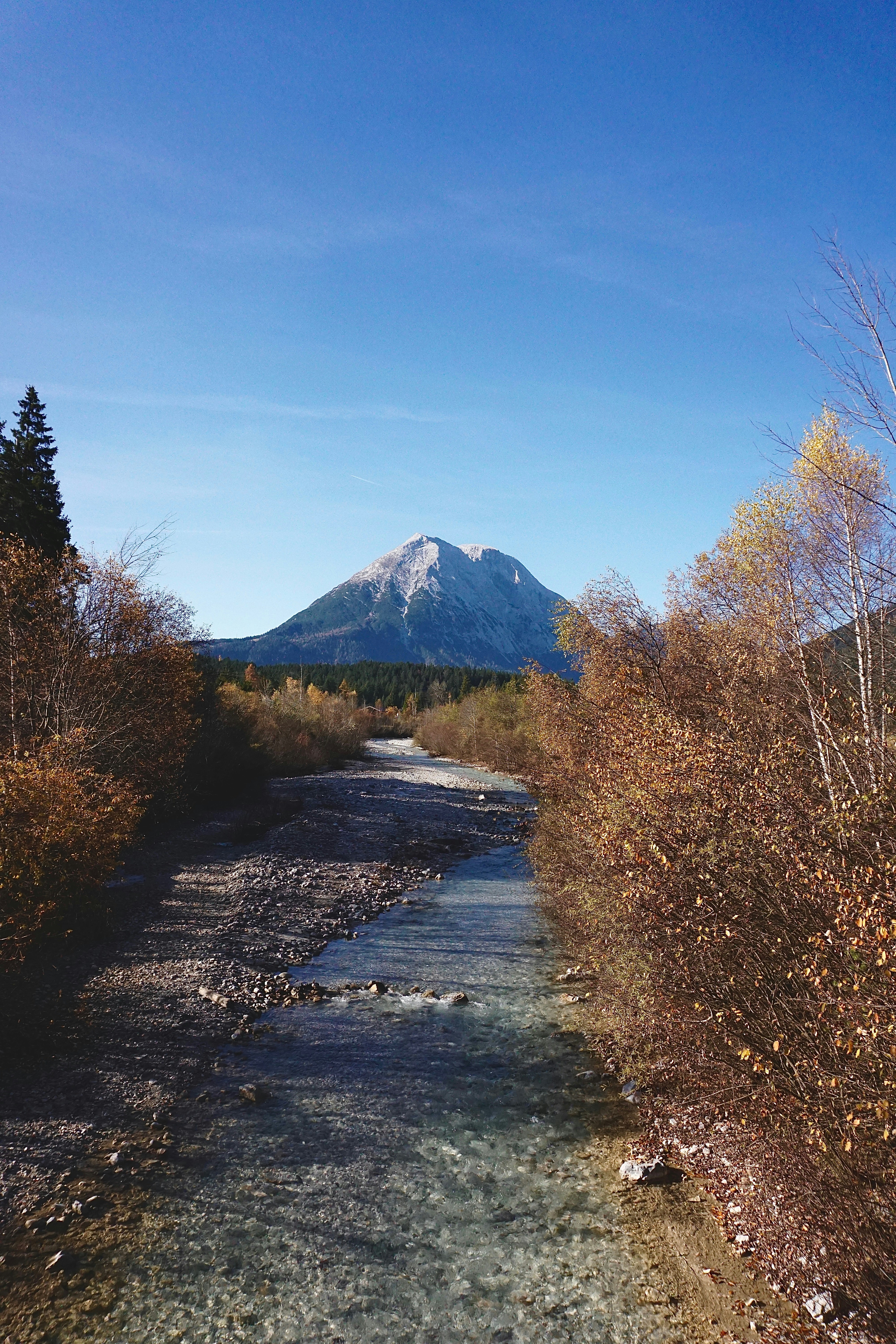 A river running through a forest with a mountain in the background