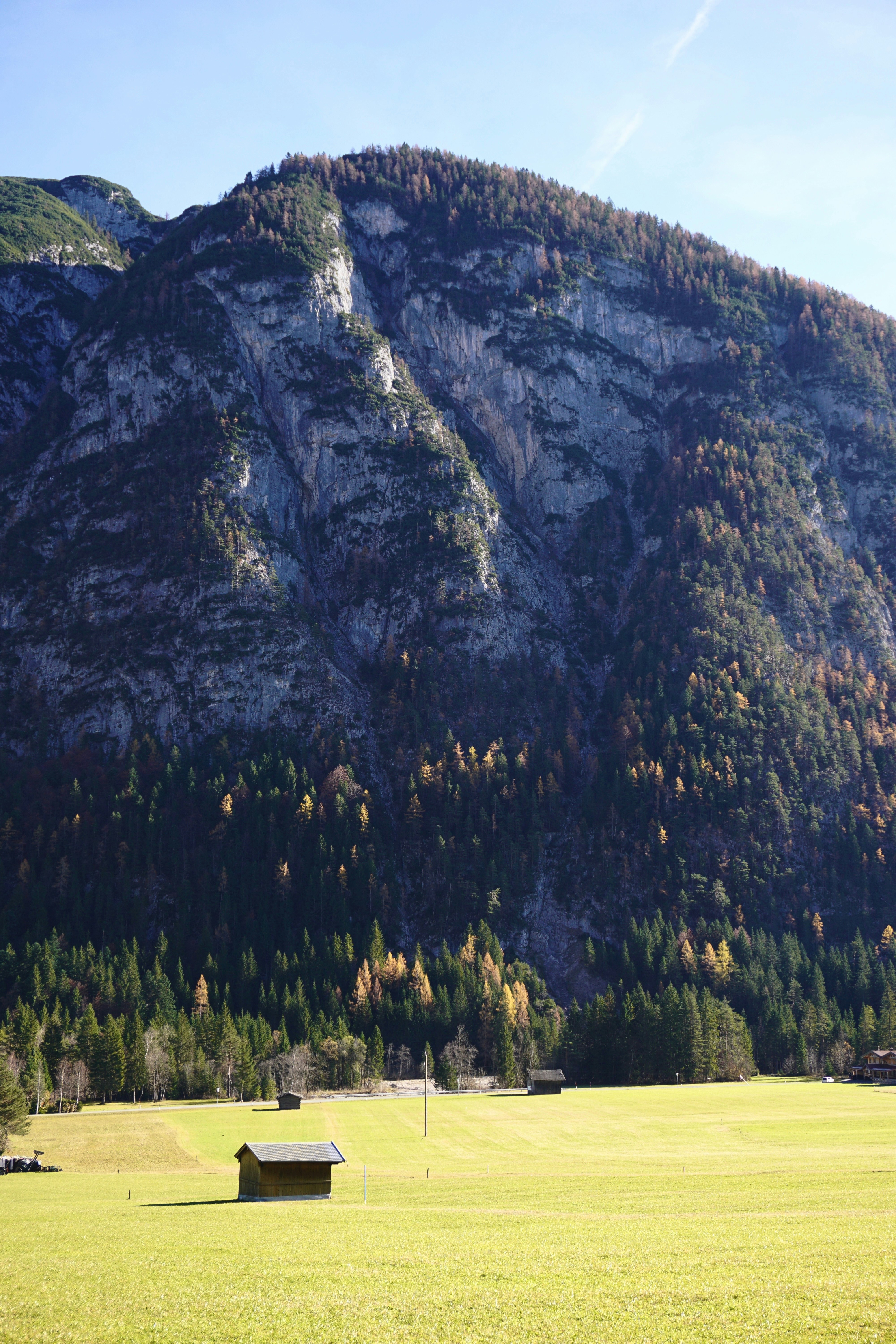 A grassy field with a mountain in the background