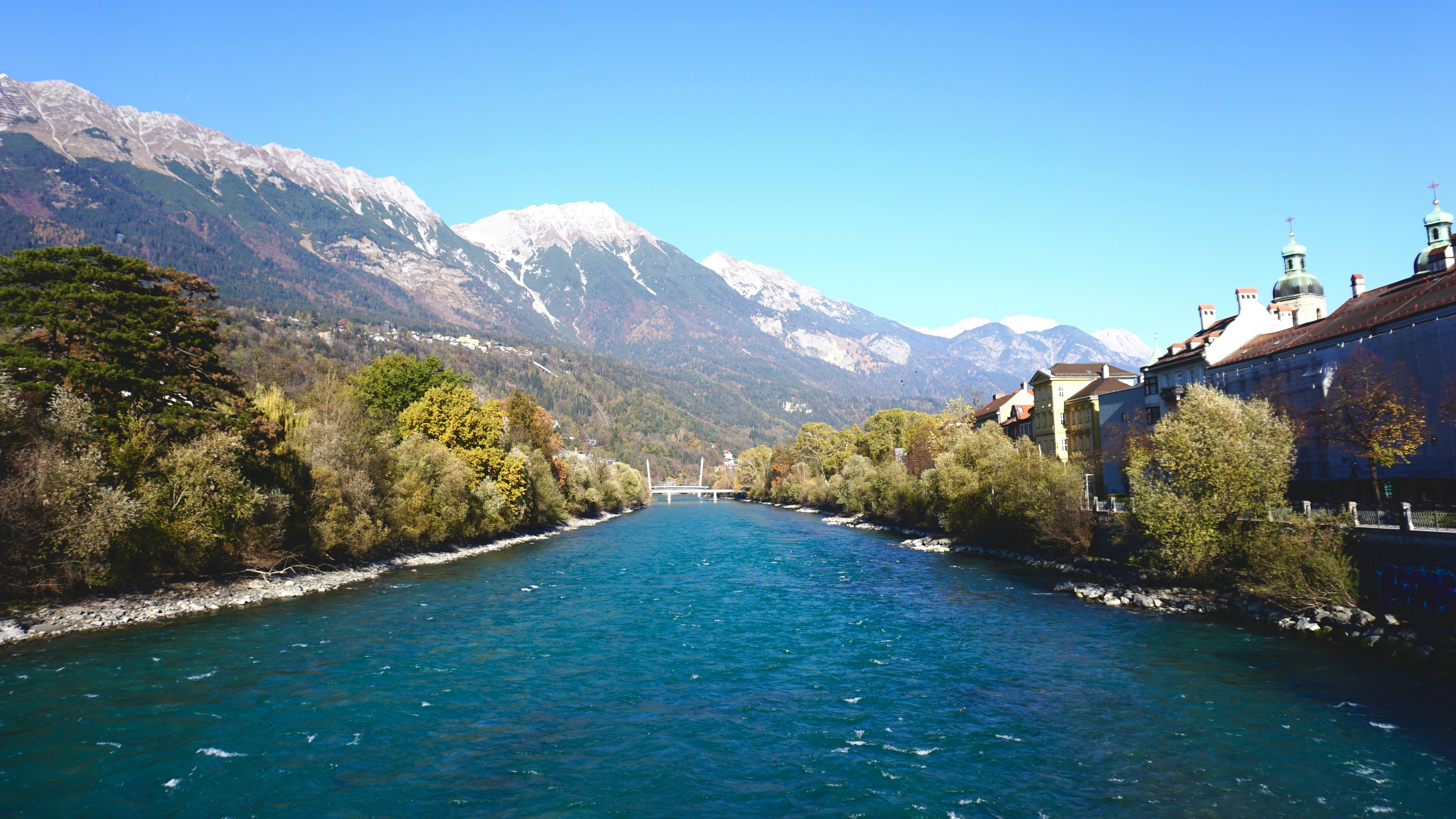 A river running through a lush green forest