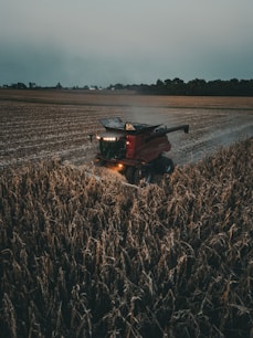 A red tractor is driving through a field
