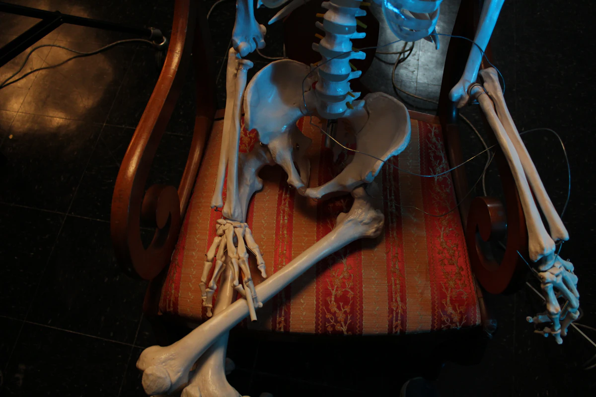 Eliminate Document Collection for Chiropractic Clinics 2026