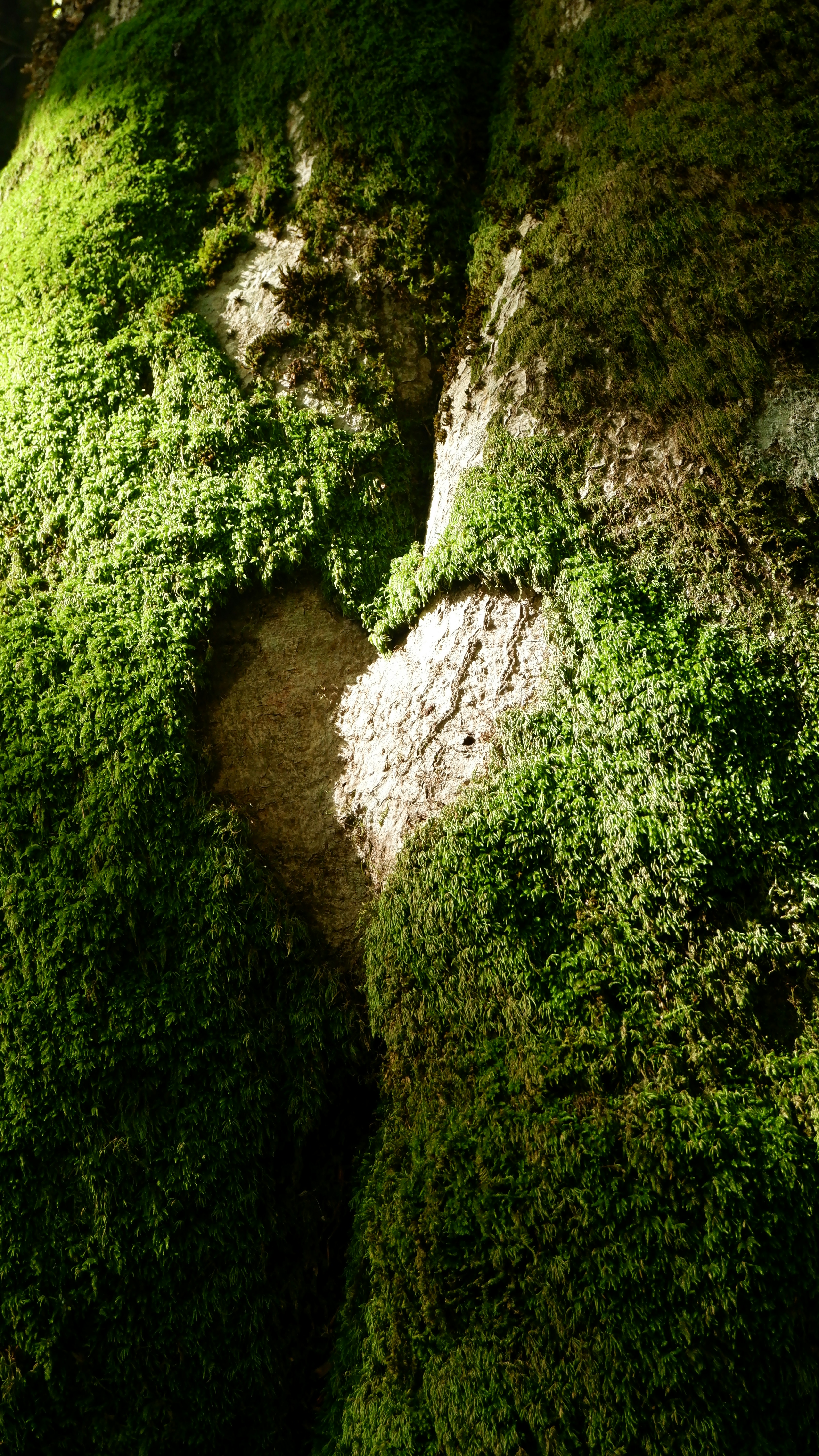 Photo by vmfiocchetto