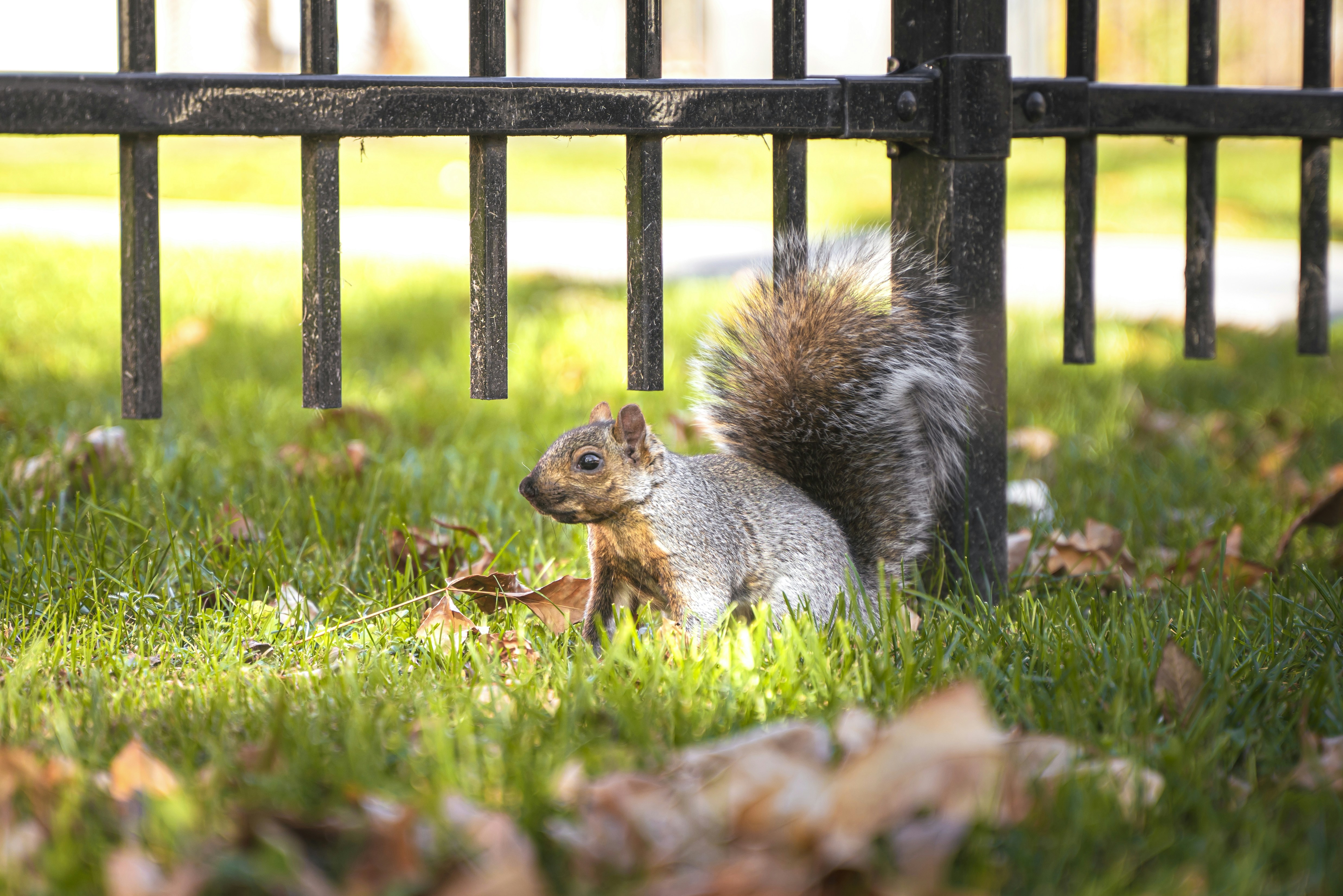 Photo by superxcalvin