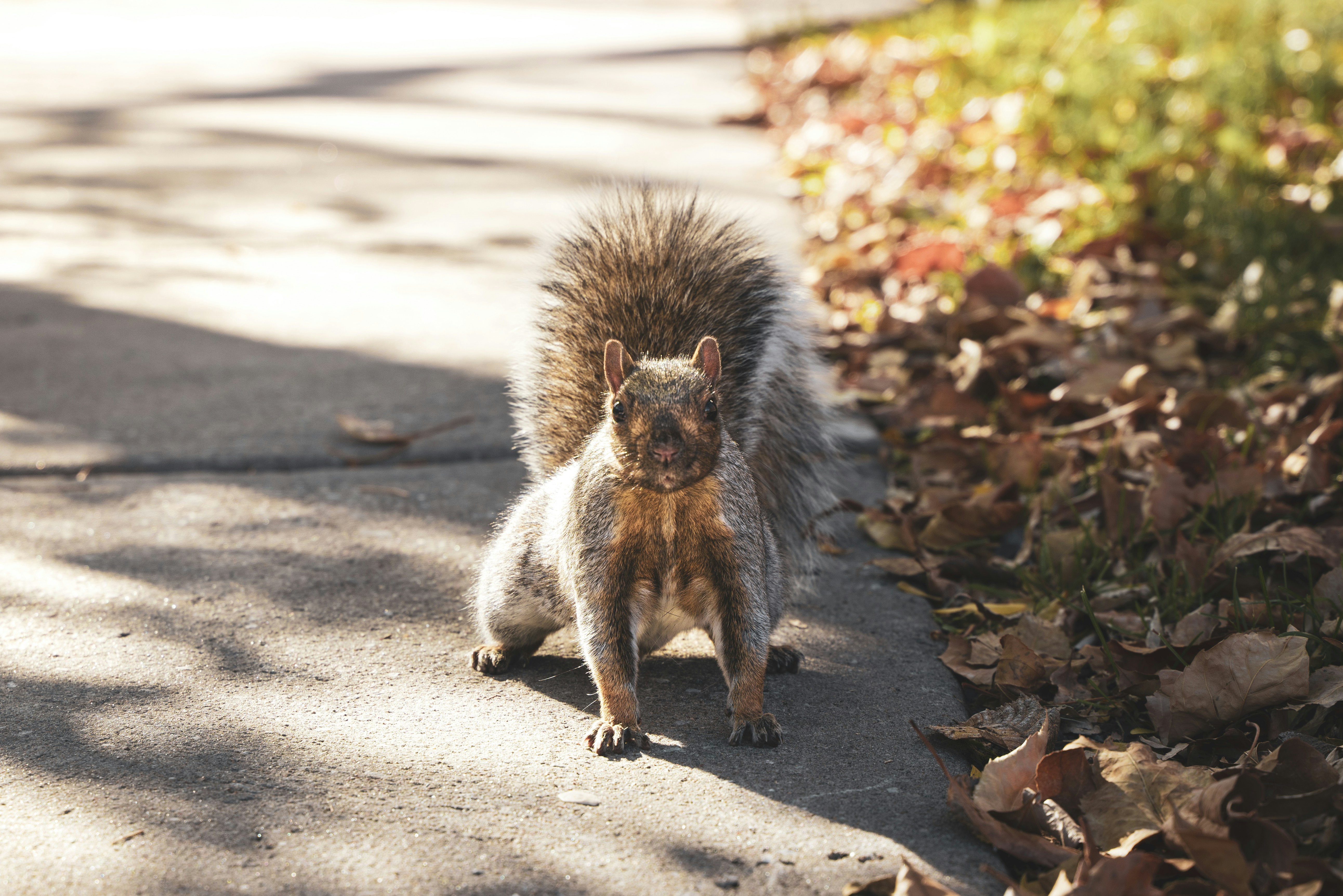 Photo by superxcalvin