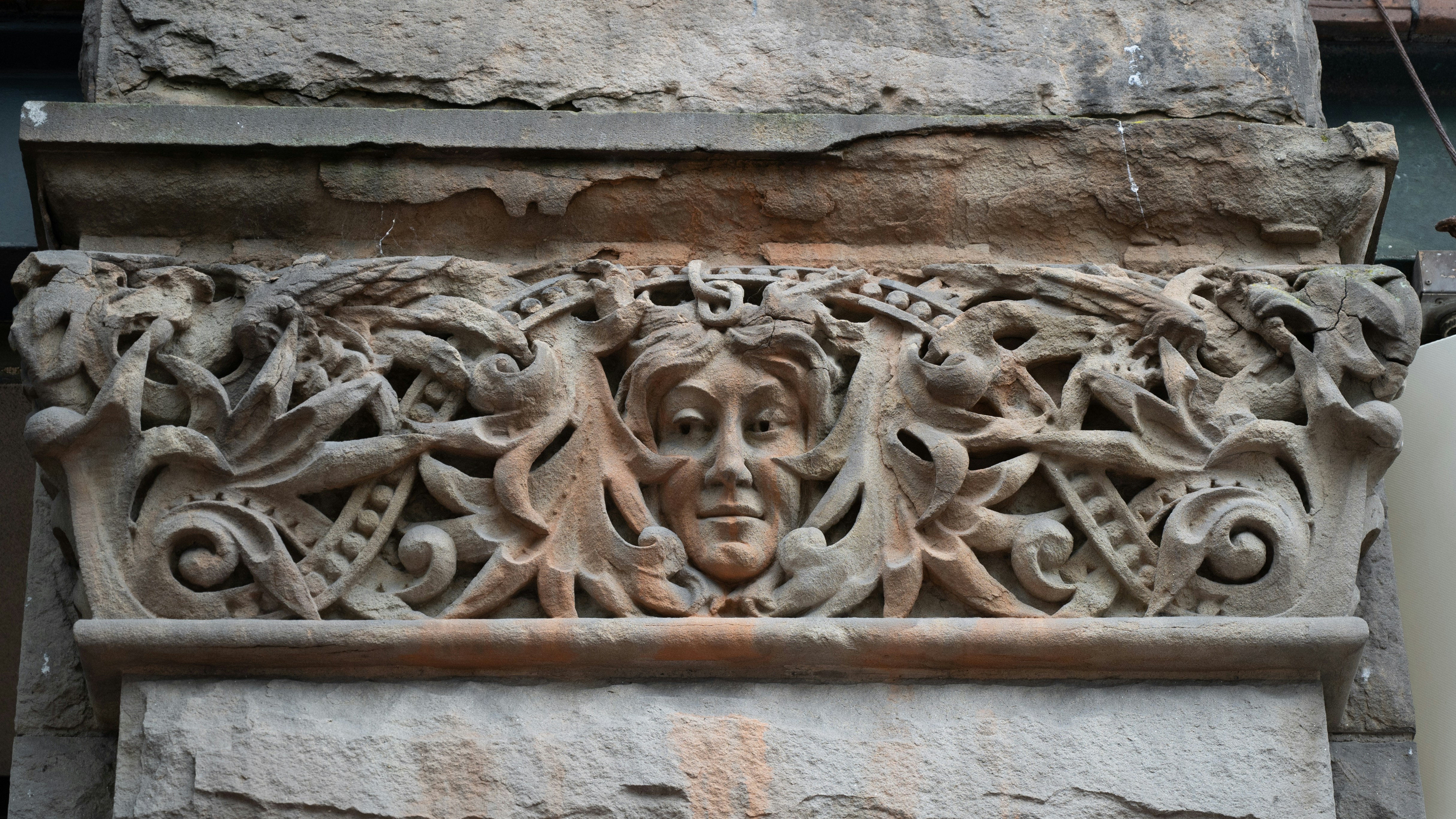 Photo by jonathankslim