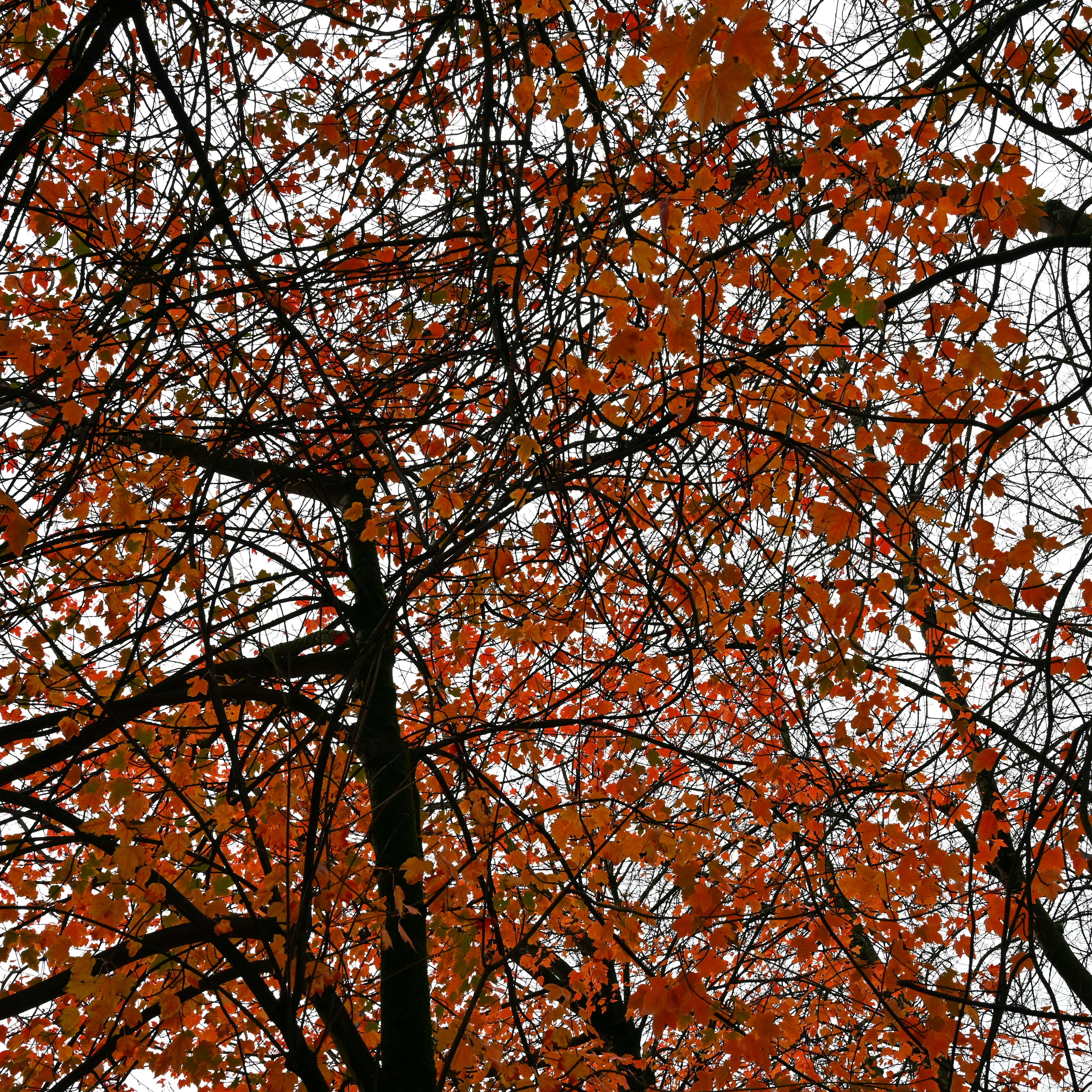 Photo by jonathankslim