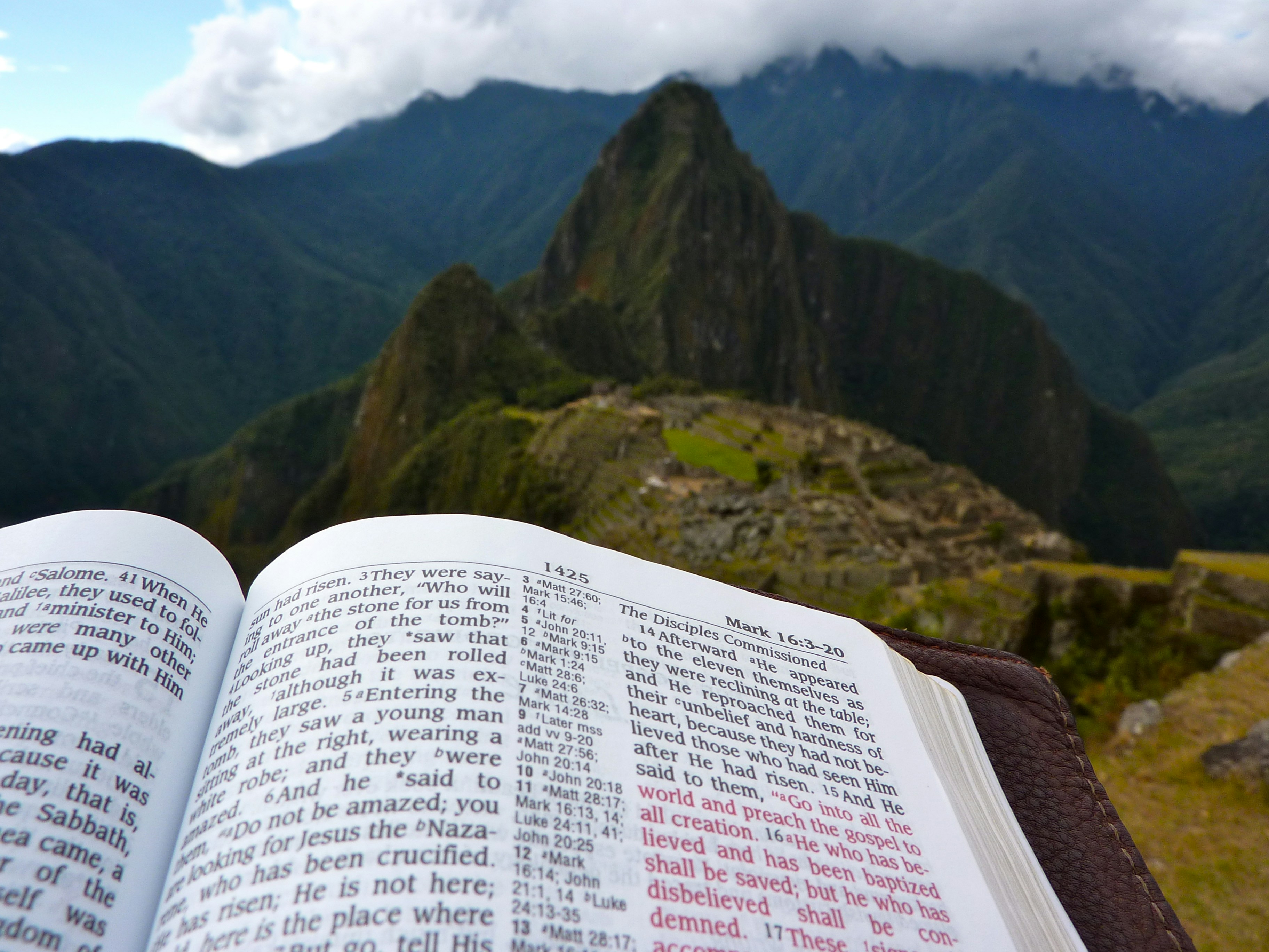 Membaca Alam Lewat Kata: 3 Buku yang Akan Mengubah Cara Anda Memandang Gunung