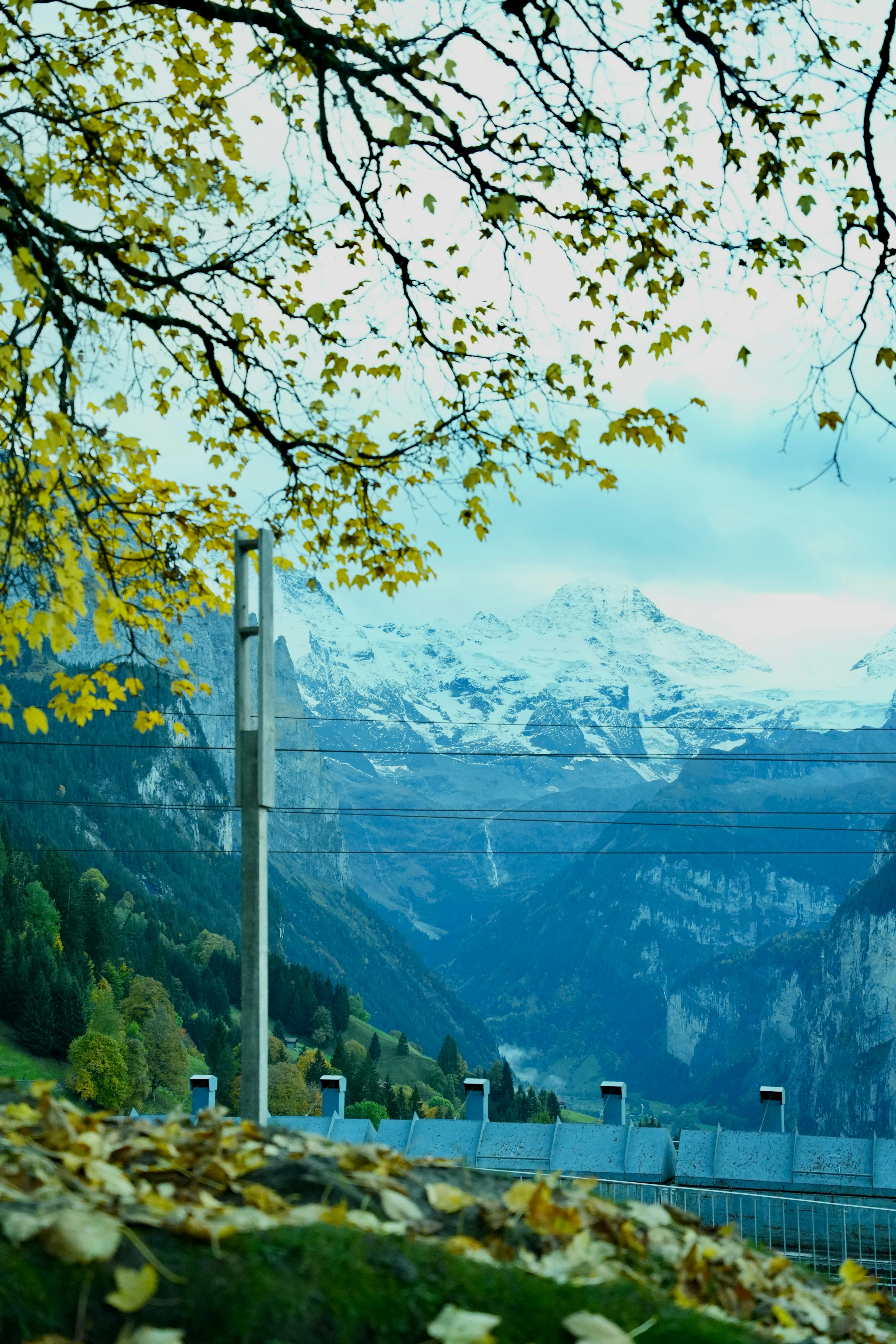 A scenic view of mountains and a river