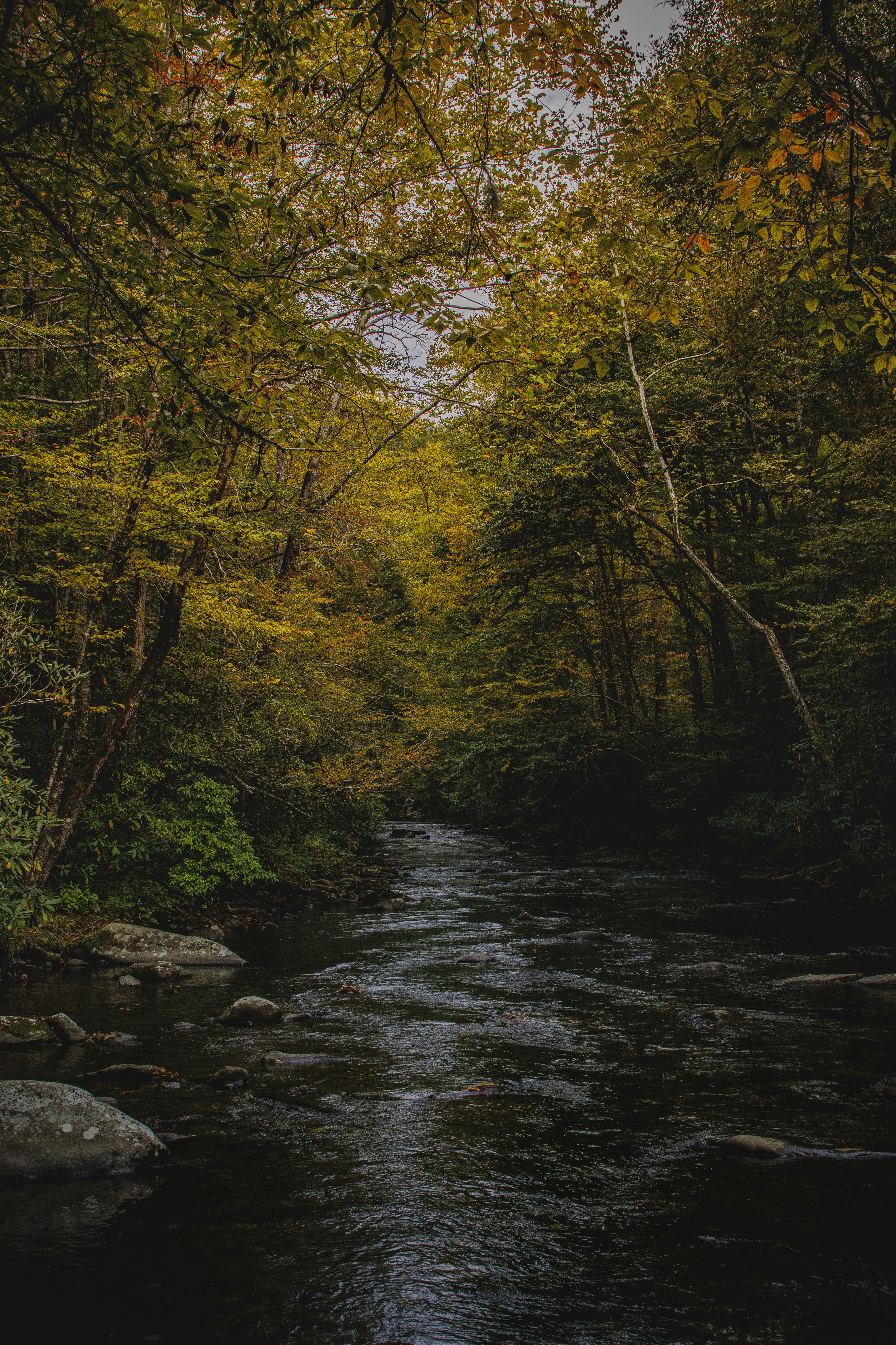 Photo by parkerdesignsss