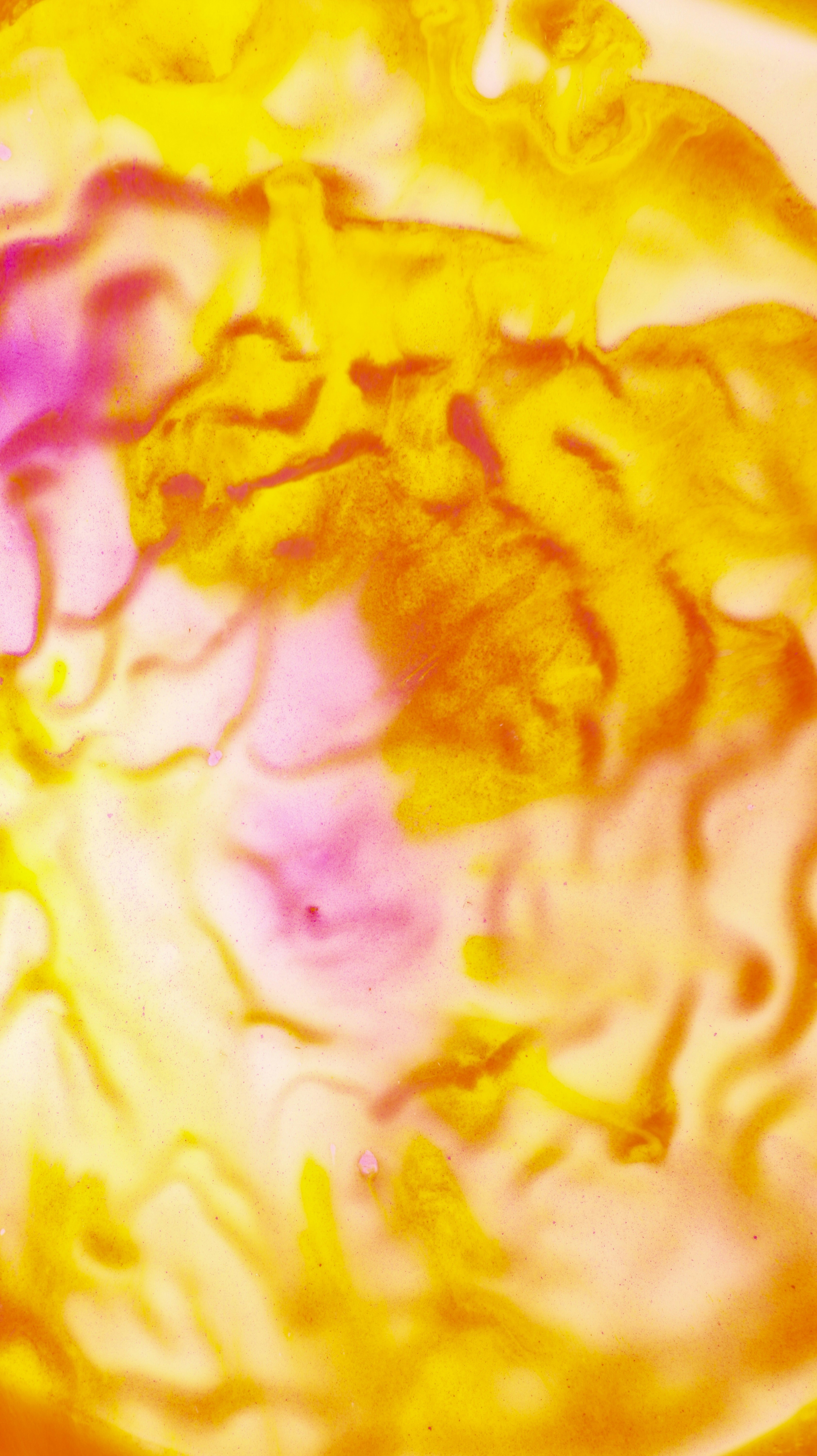 Photo by susan_wilkinson