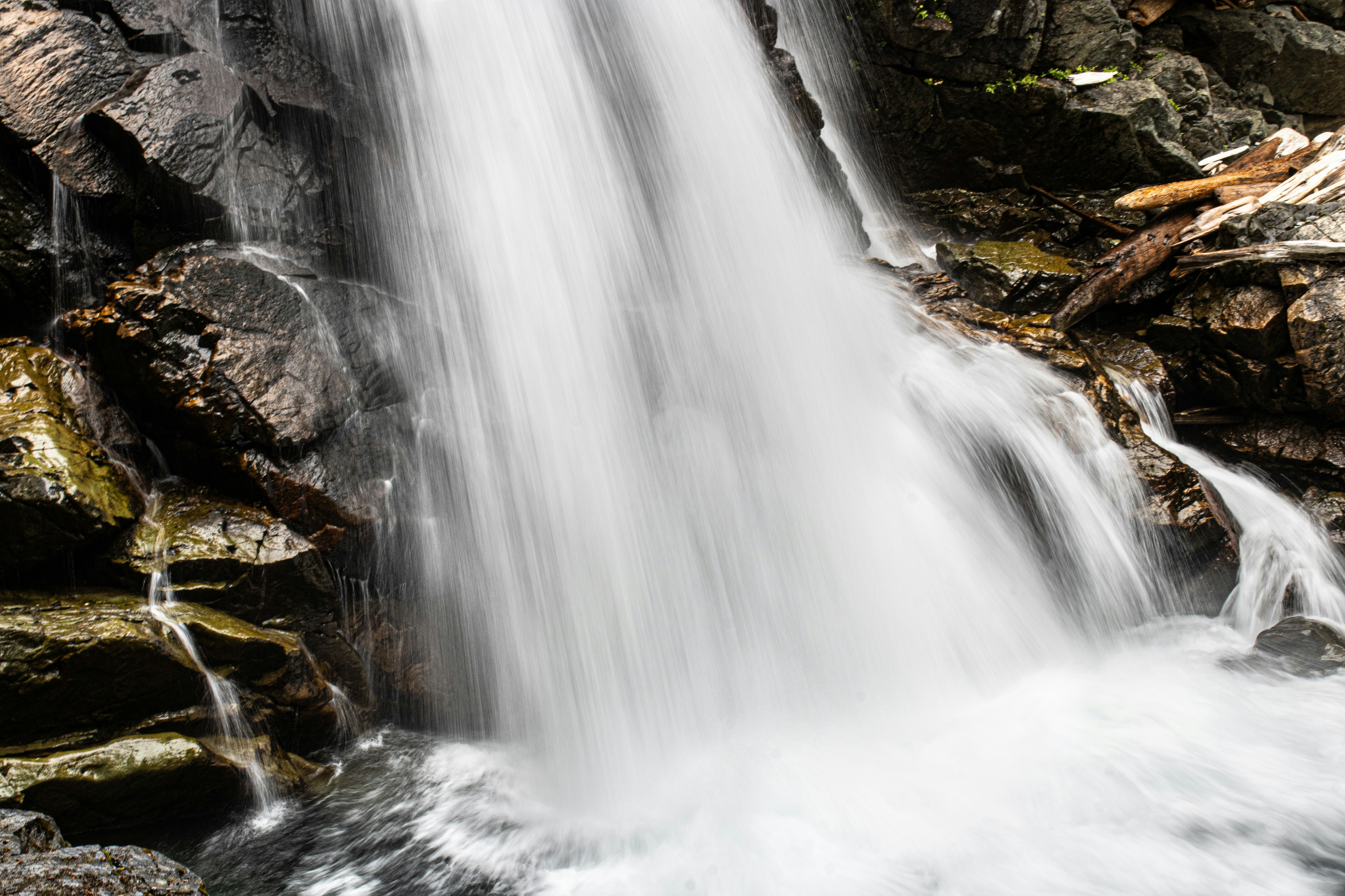 Photo by prphotography262