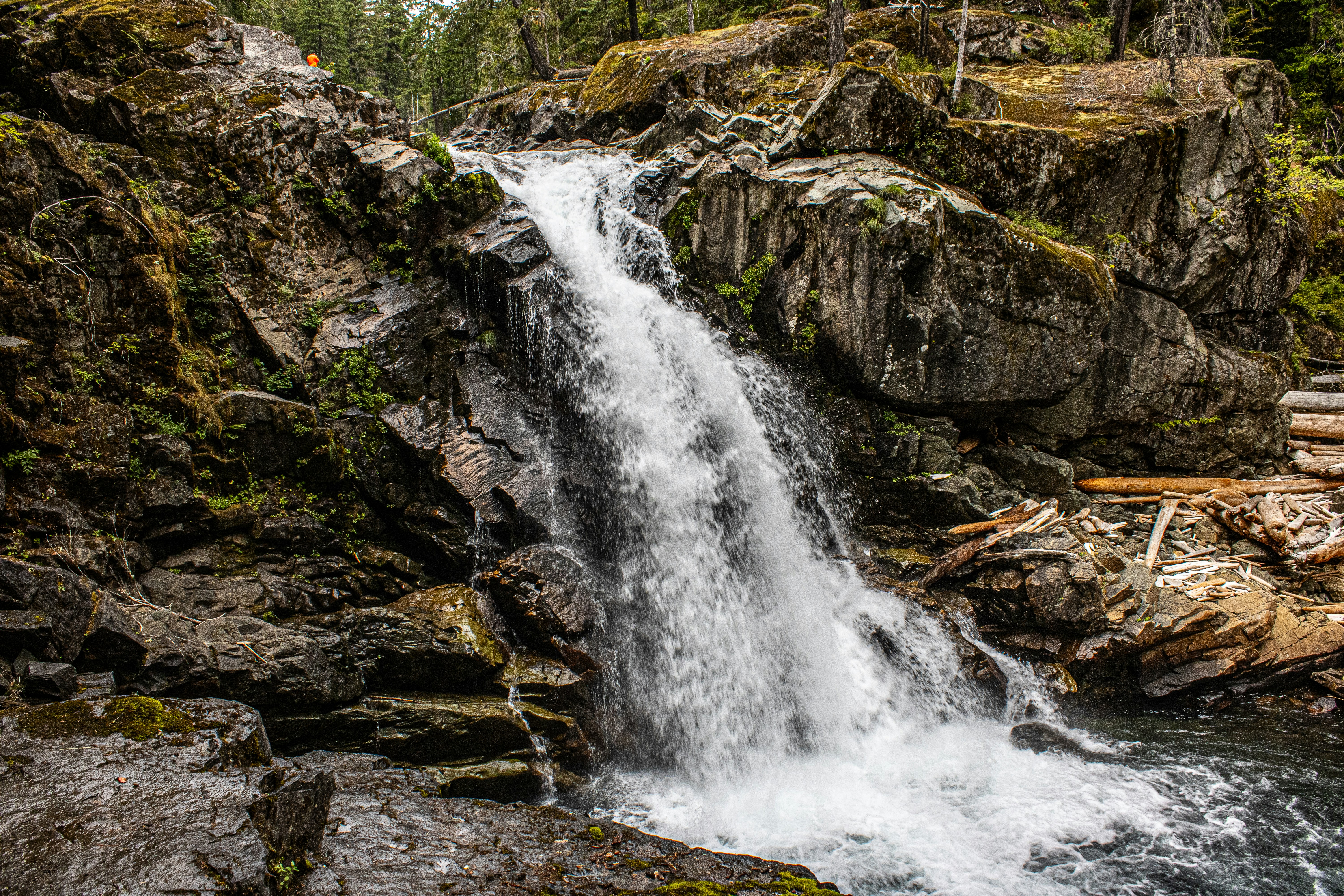 Photo by prphotography262