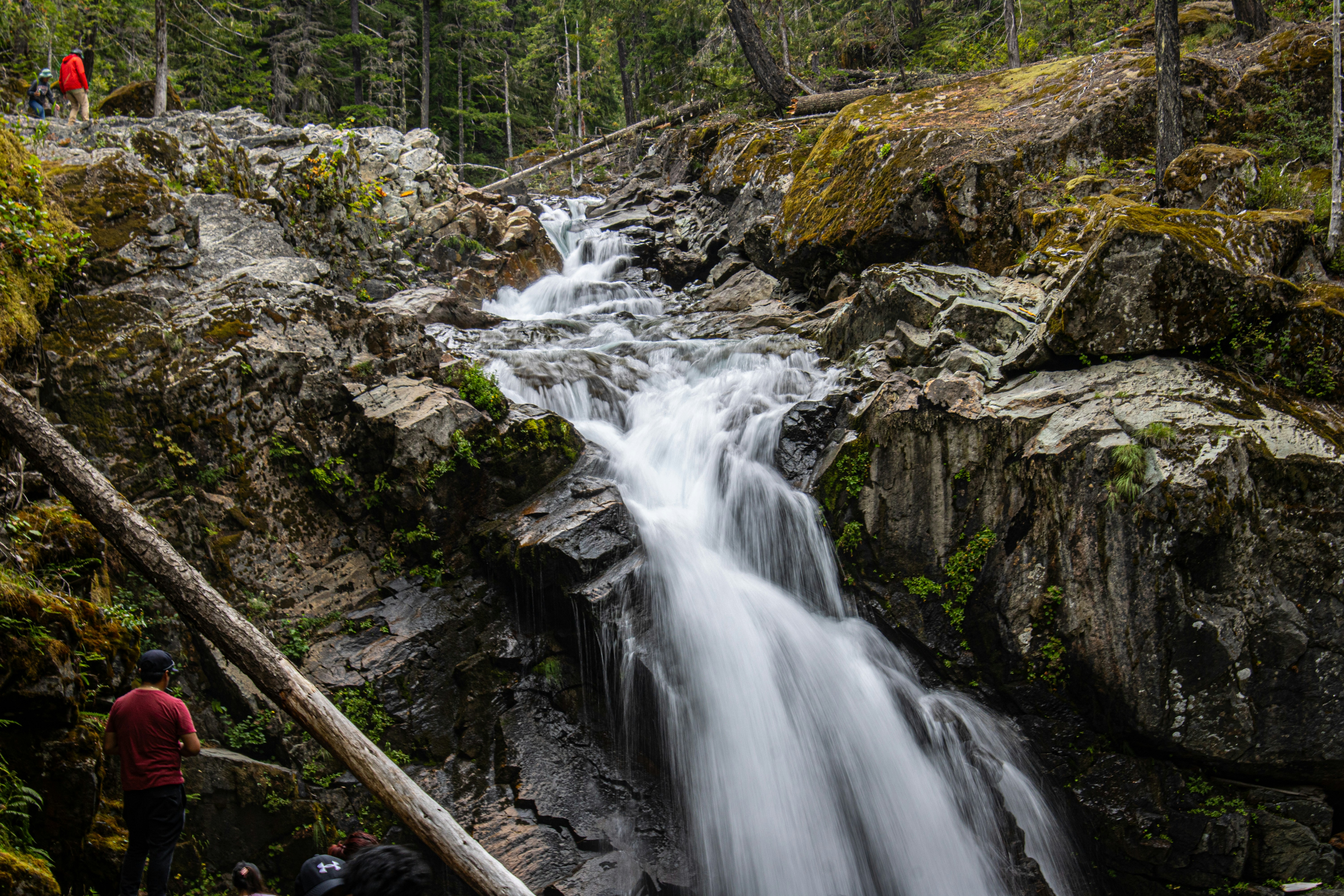 Photo by prphotography262