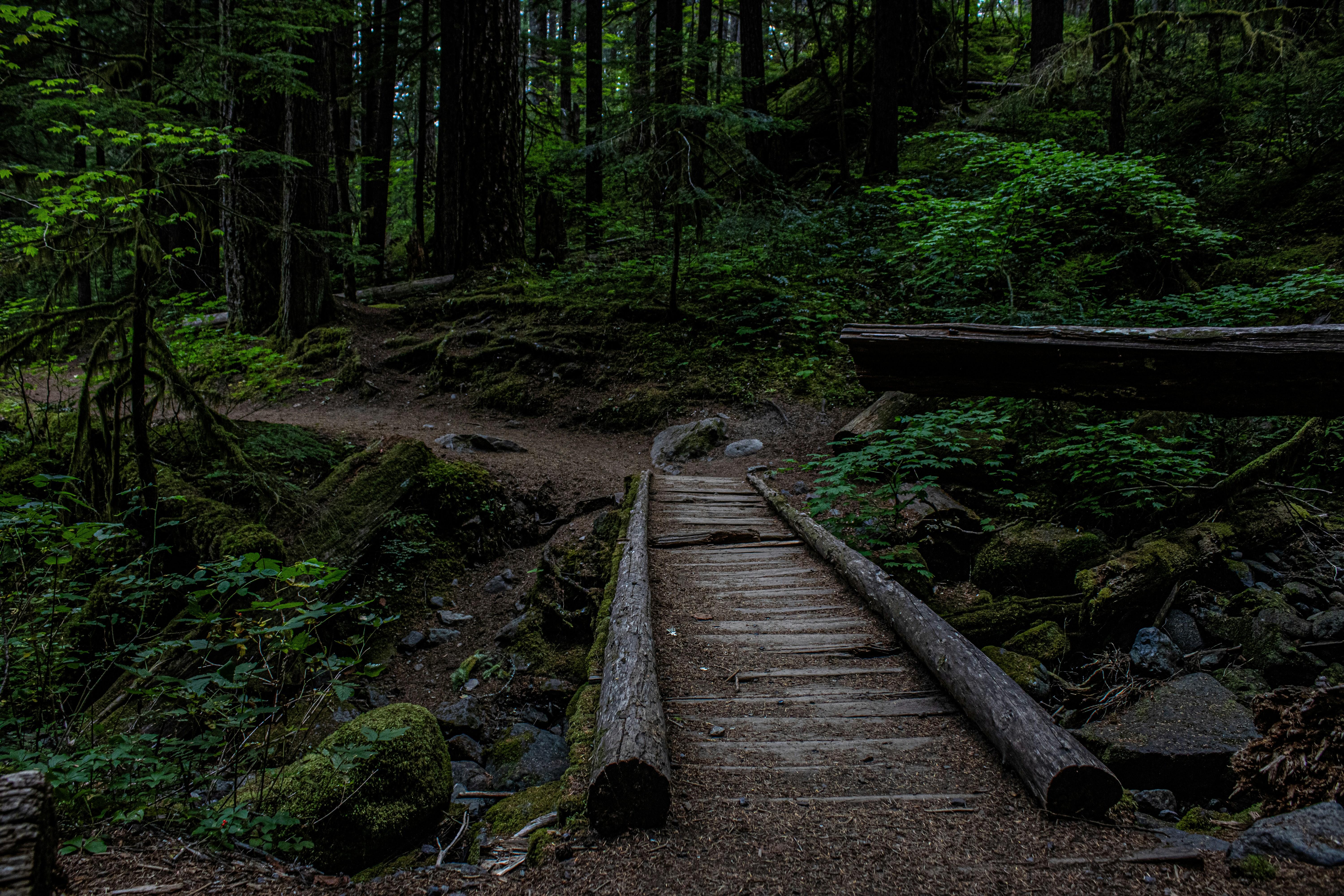 Photo by prphotography262