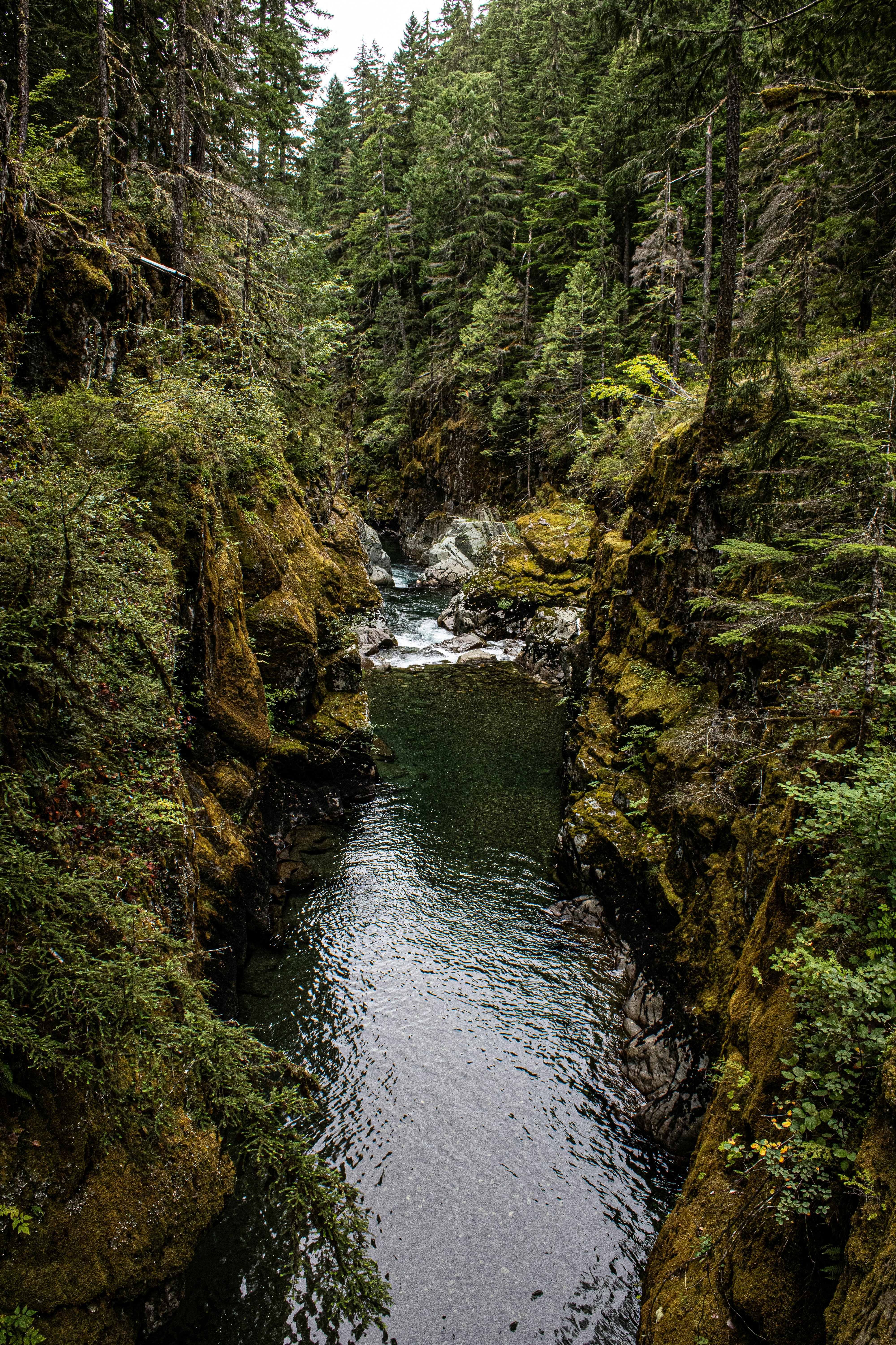 Photo by prphotography262