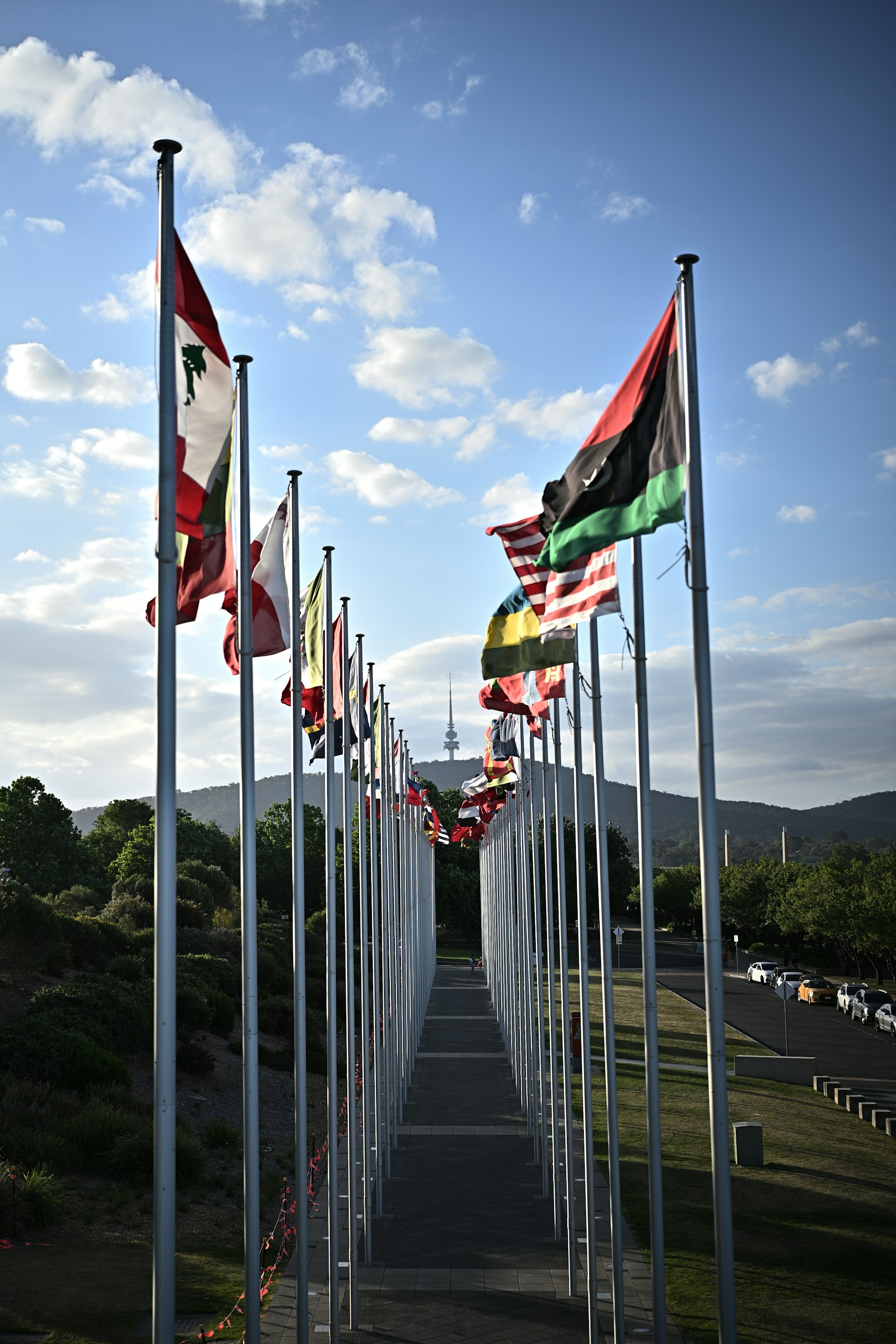 A long row of flags on poles next to a road