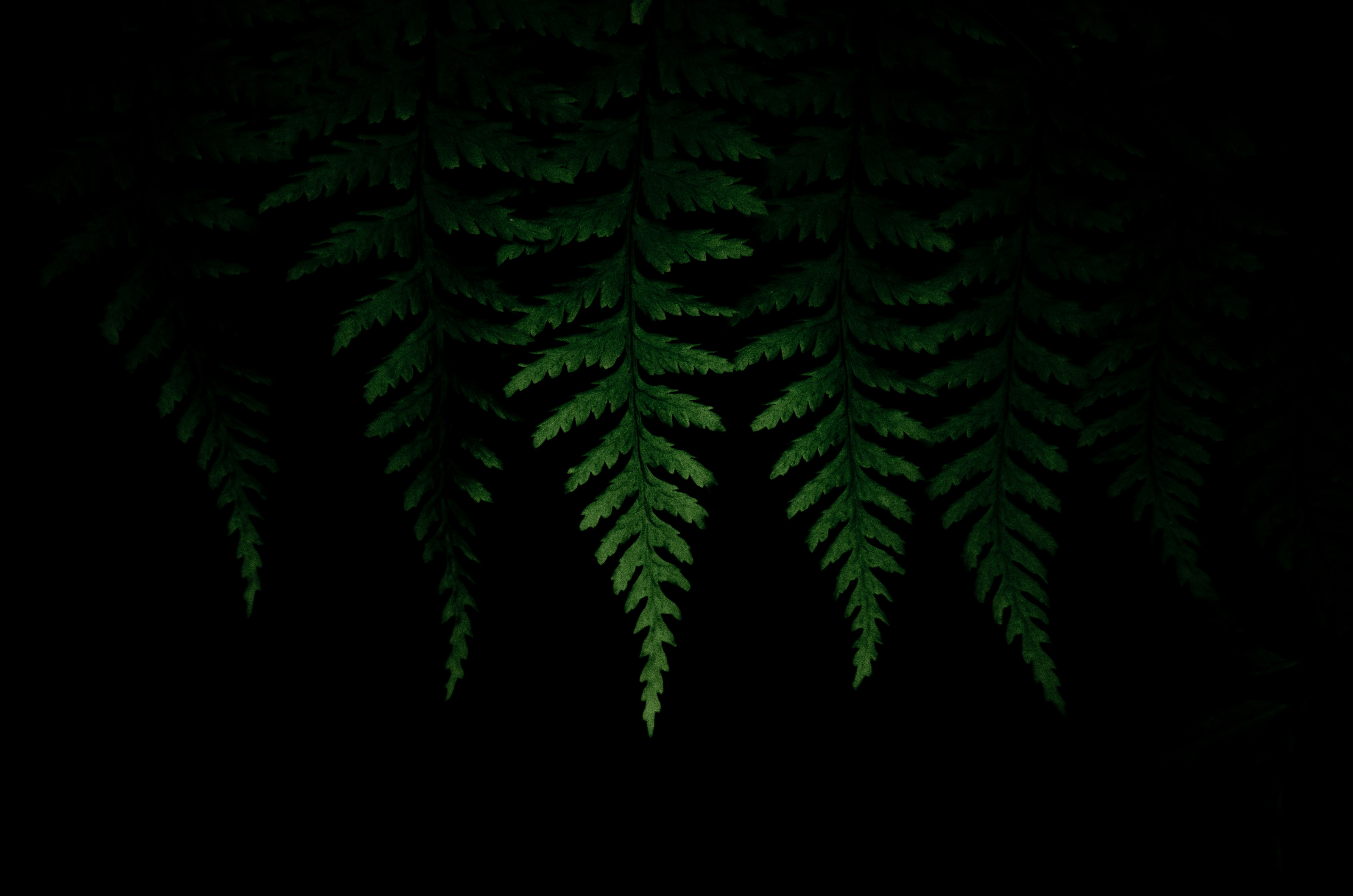 Photo by quinnaebiphoto