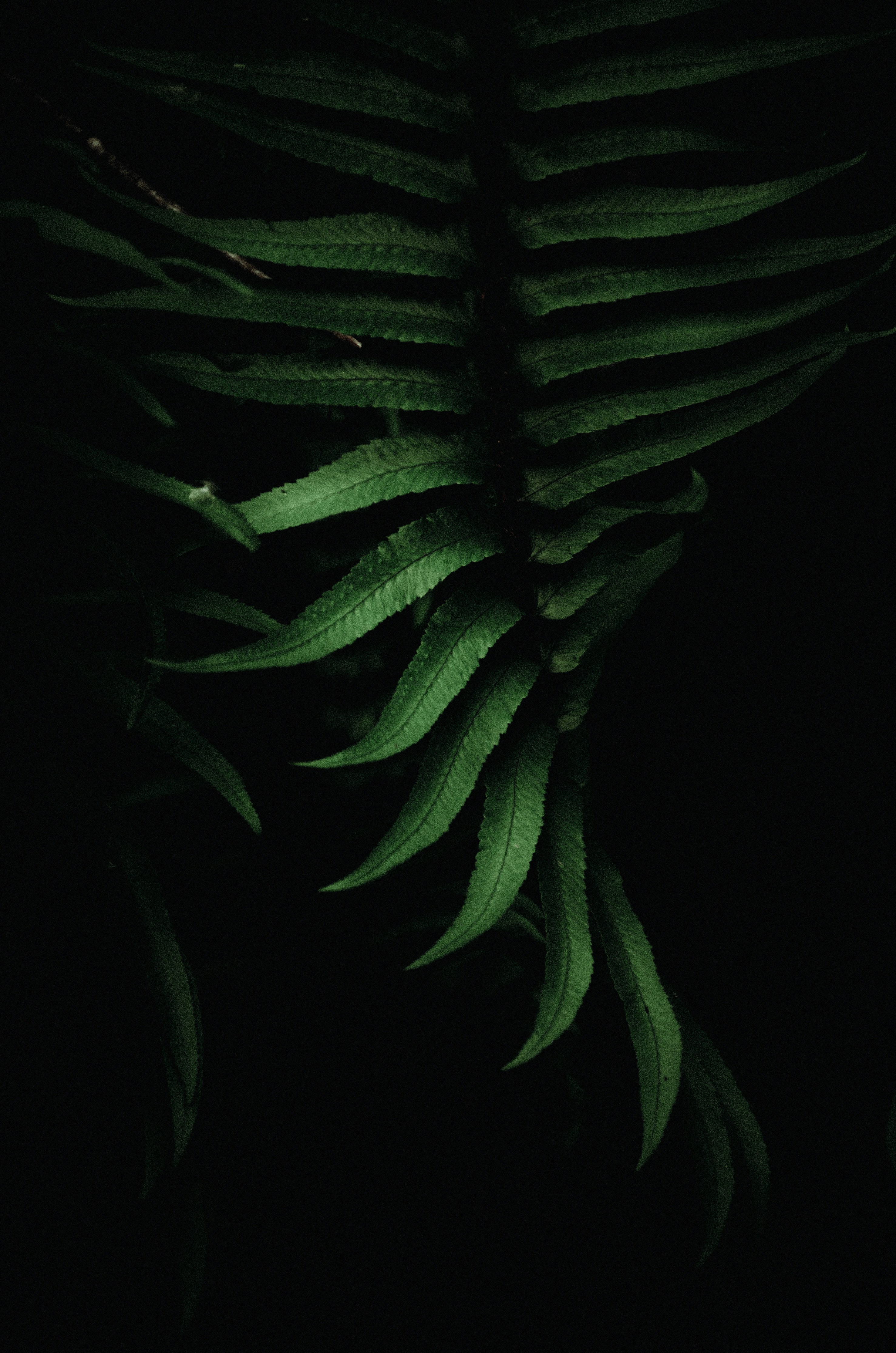 Photo by quinnaebiphoto