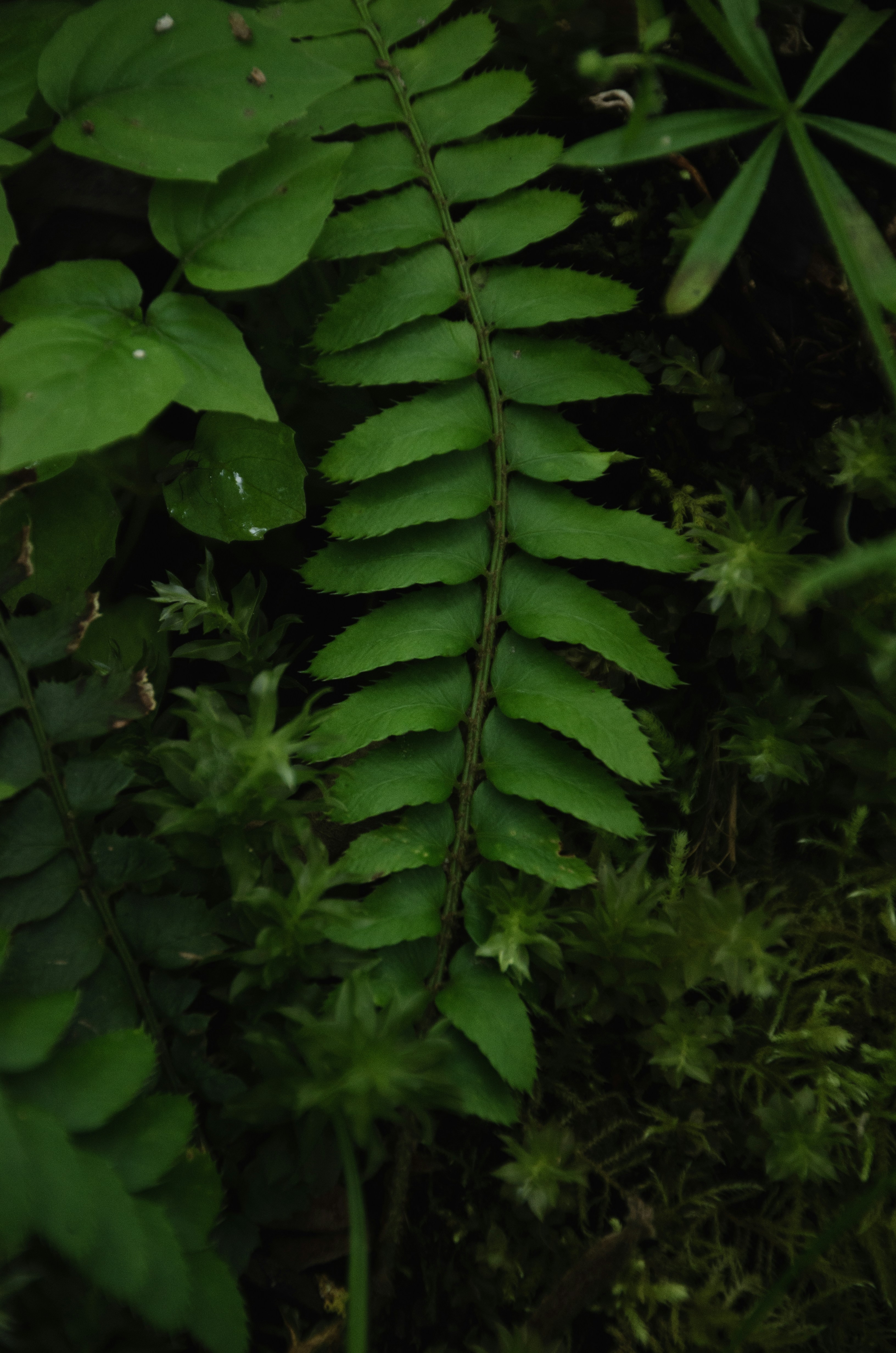 Photo by quinnaebiphoto