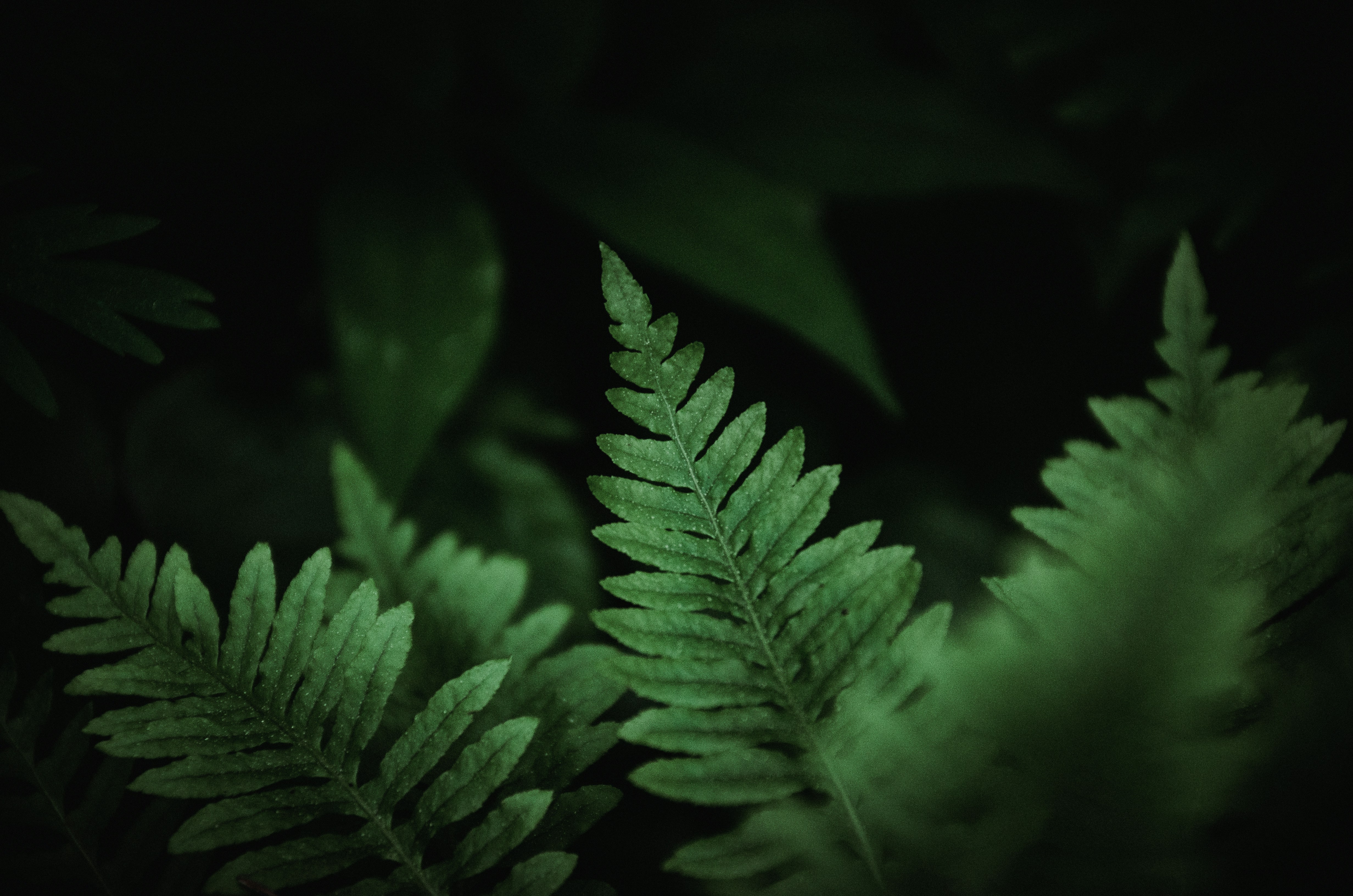 Photo by quinnaebiphoto