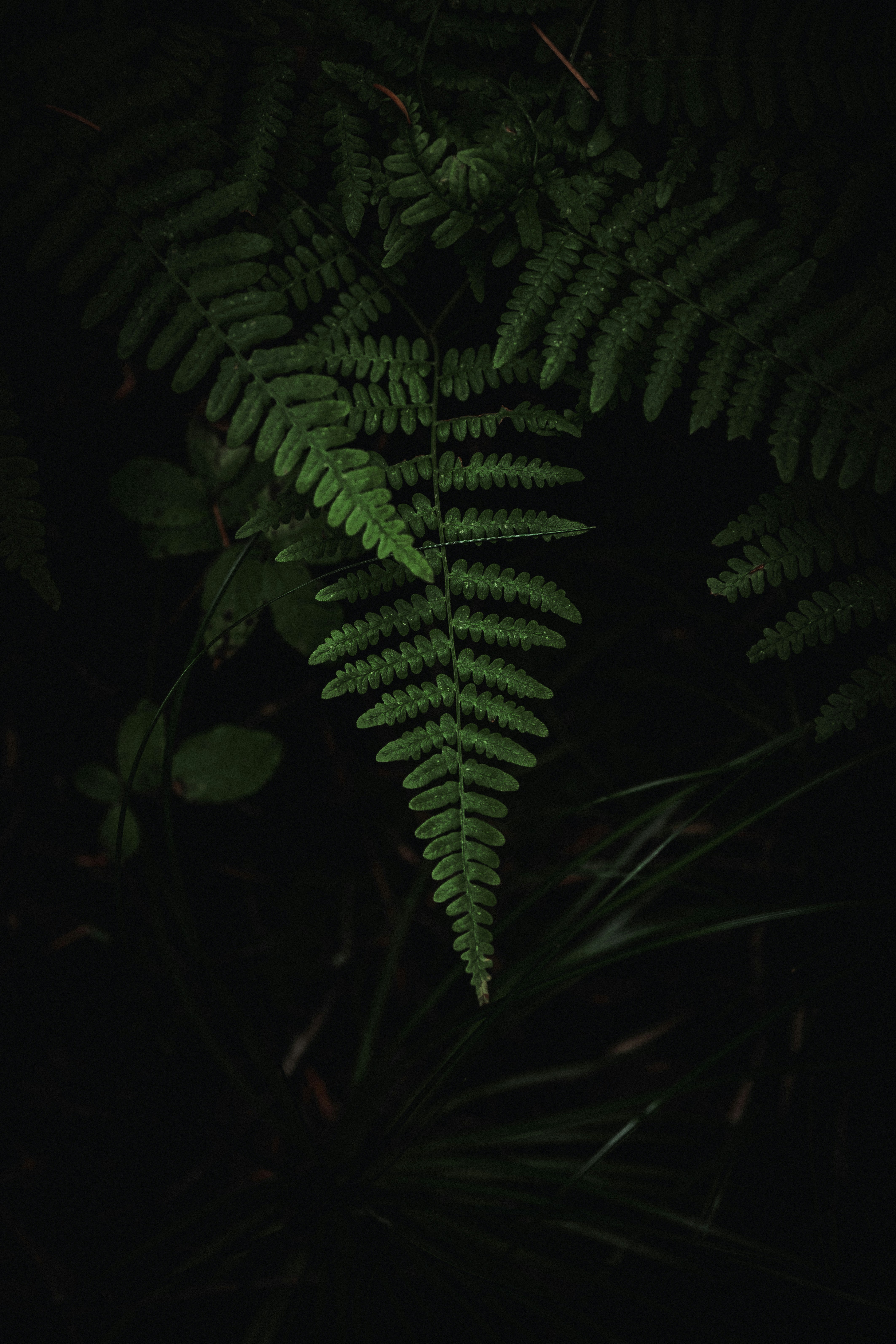 Photo by quinnaebiphoto