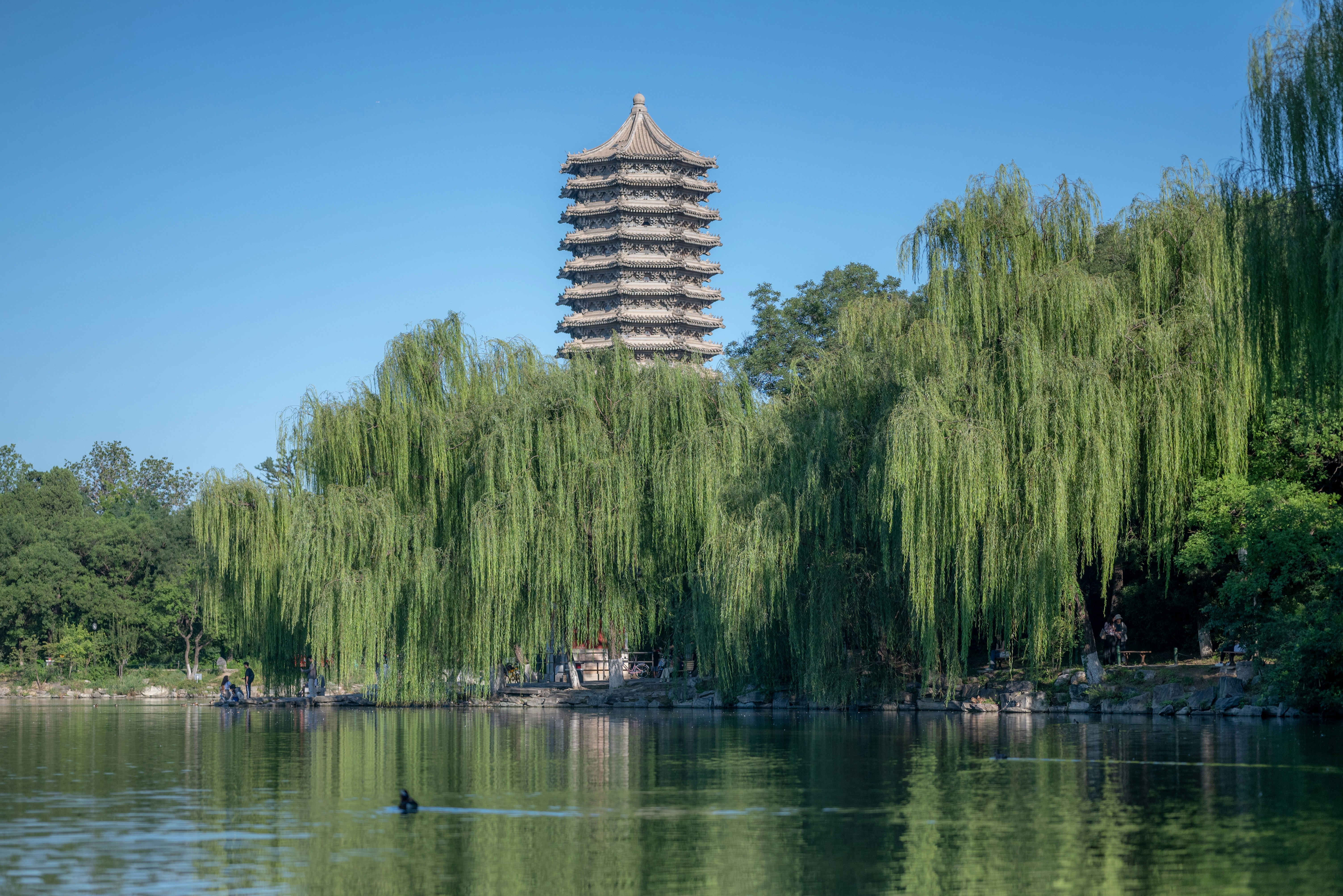 A tall tower towering over a lake surrounded by trees