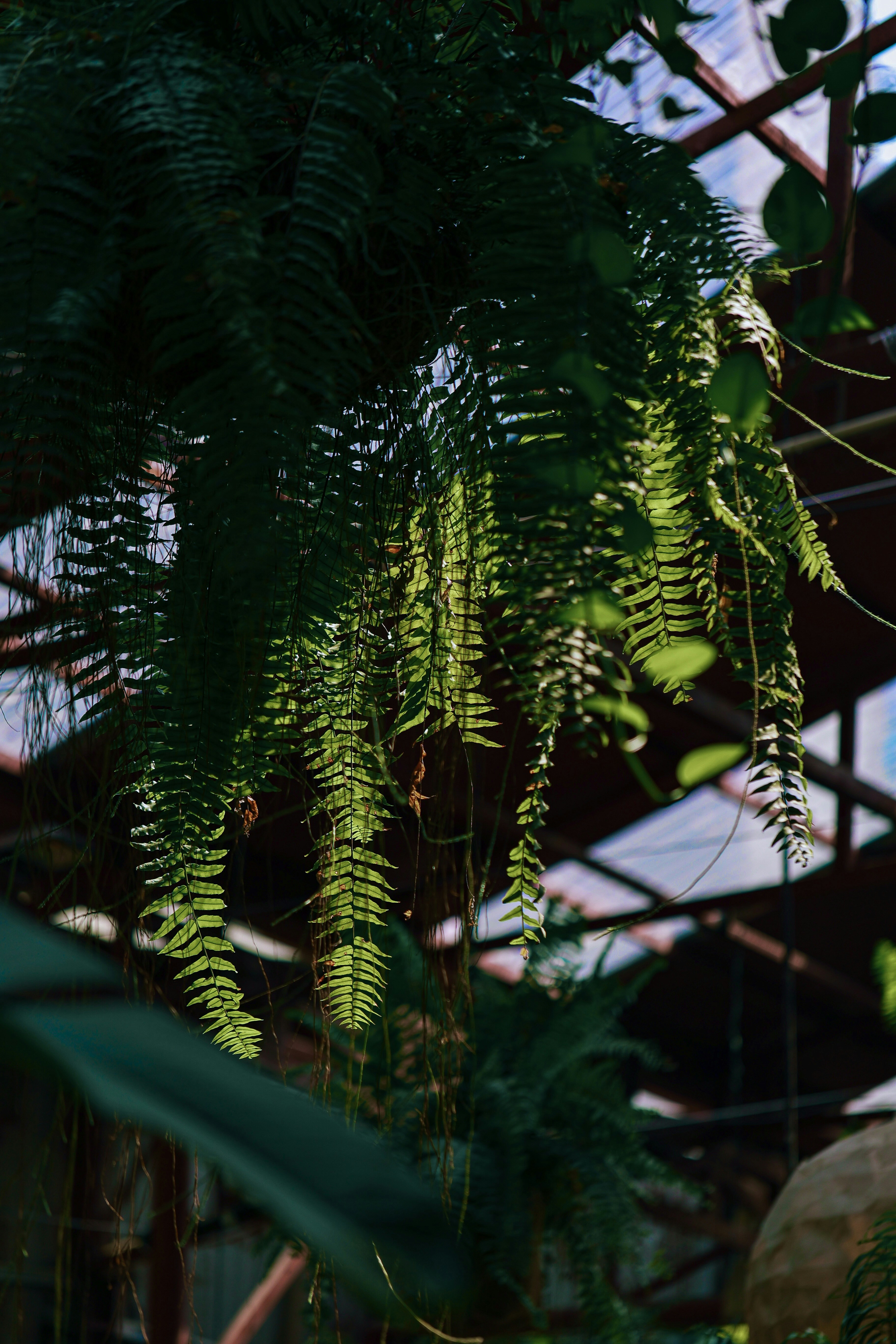 Photo by hieuanhcauam